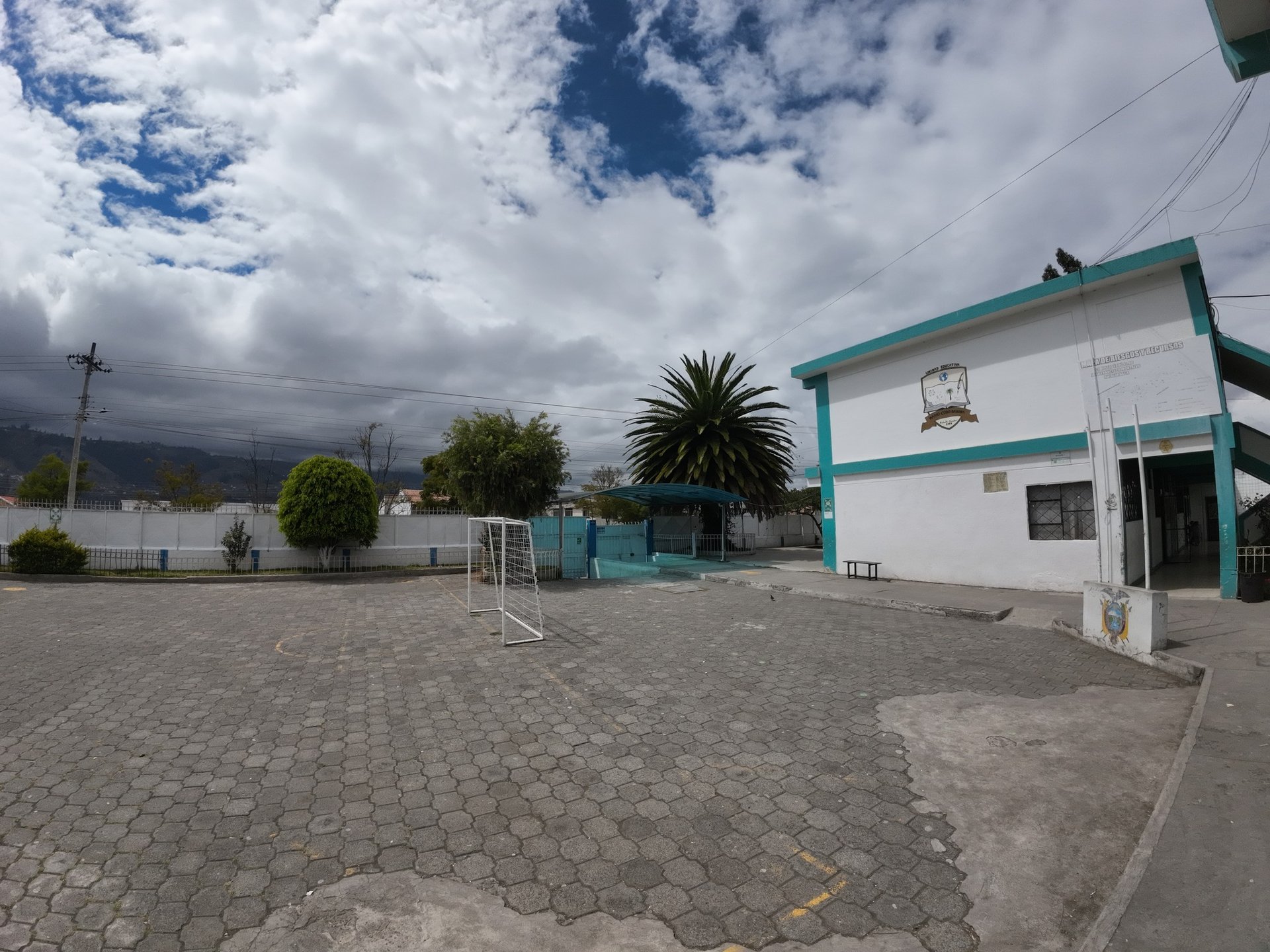 black and brown leather padded tub sofa