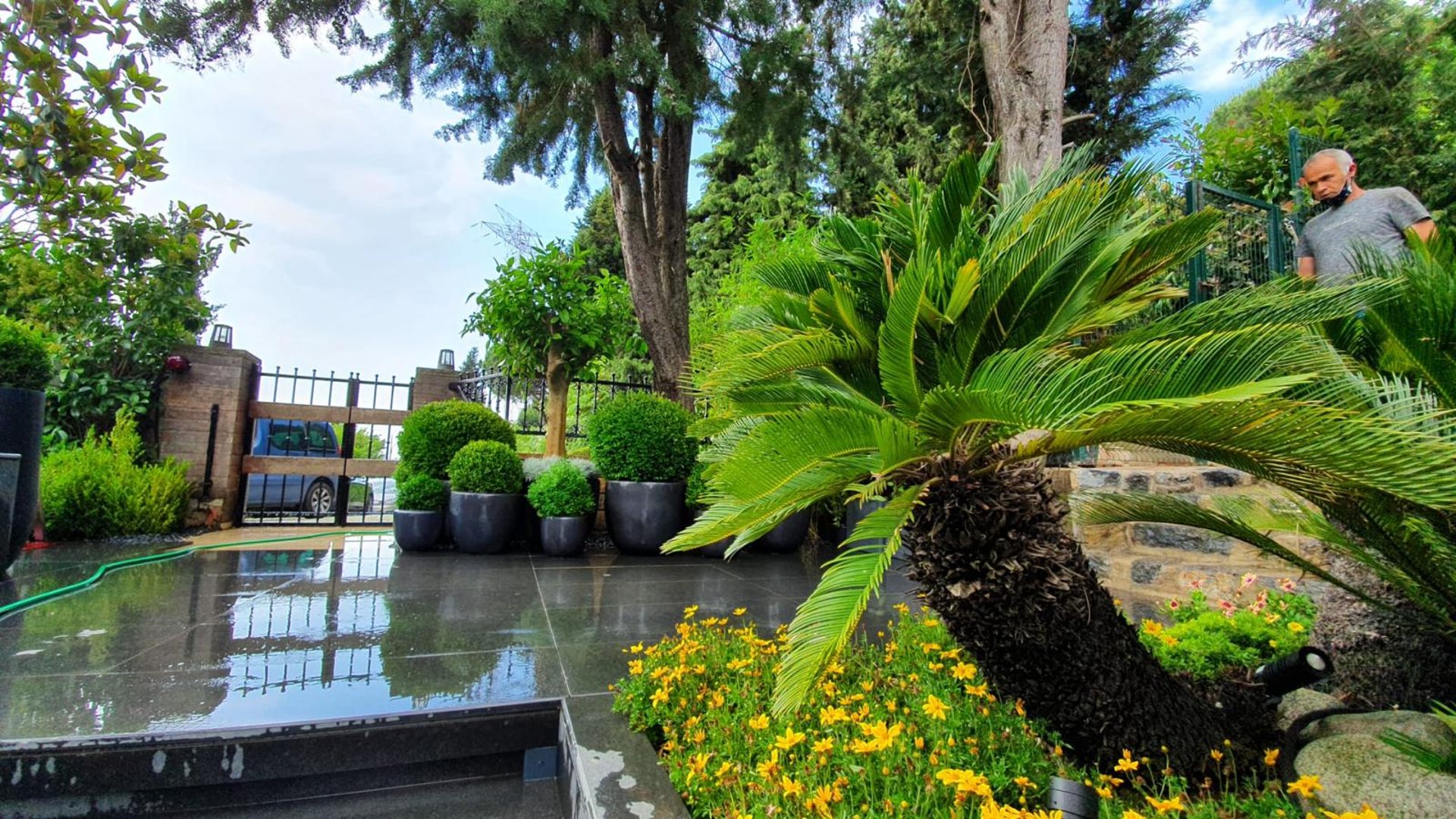 brown wooden dock between lavender flower field near body of water during golden hour