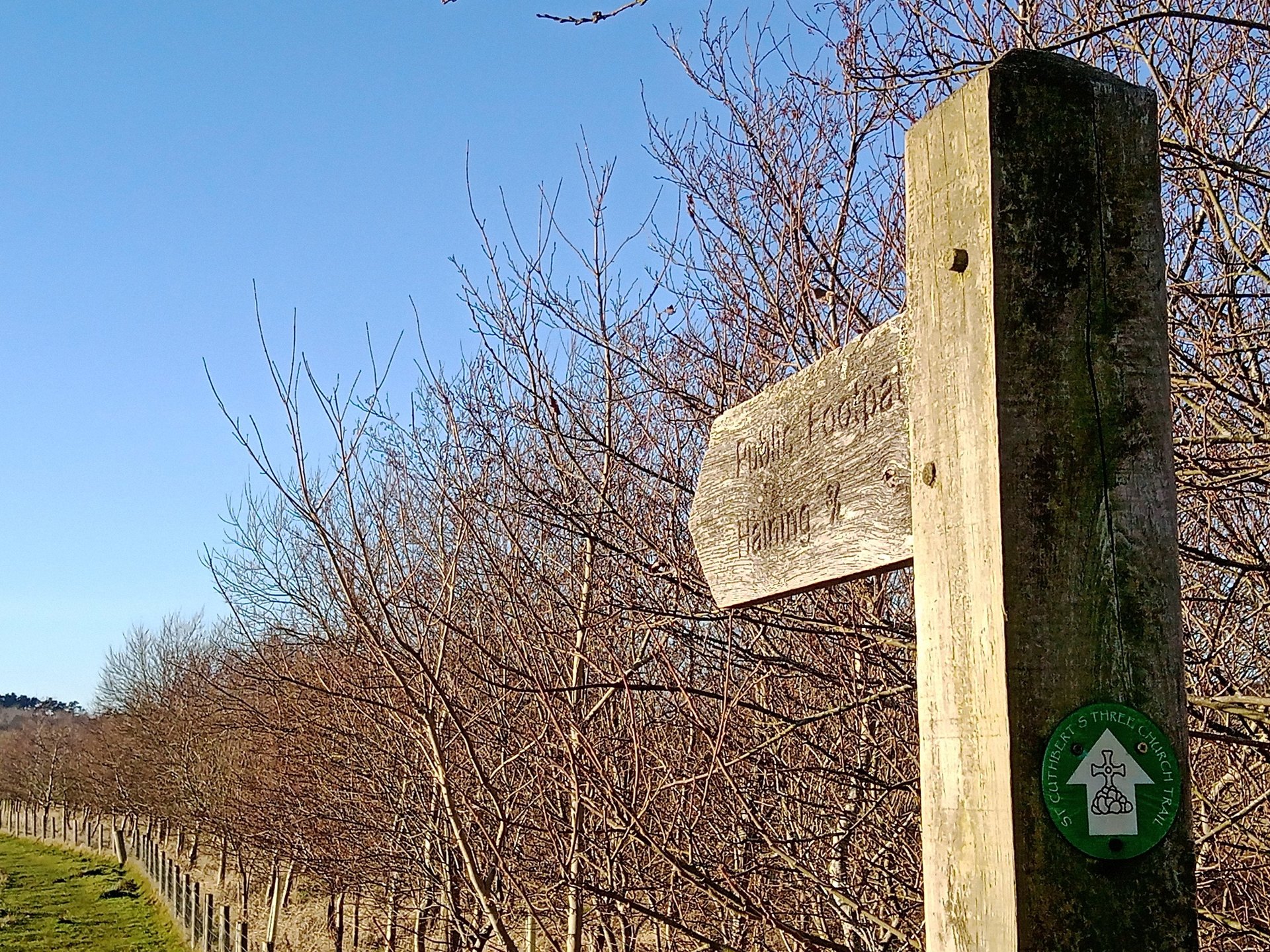 white and red concrete cathedral