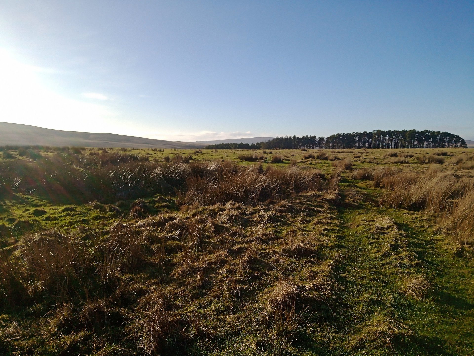 a group of buildings next to a body of water