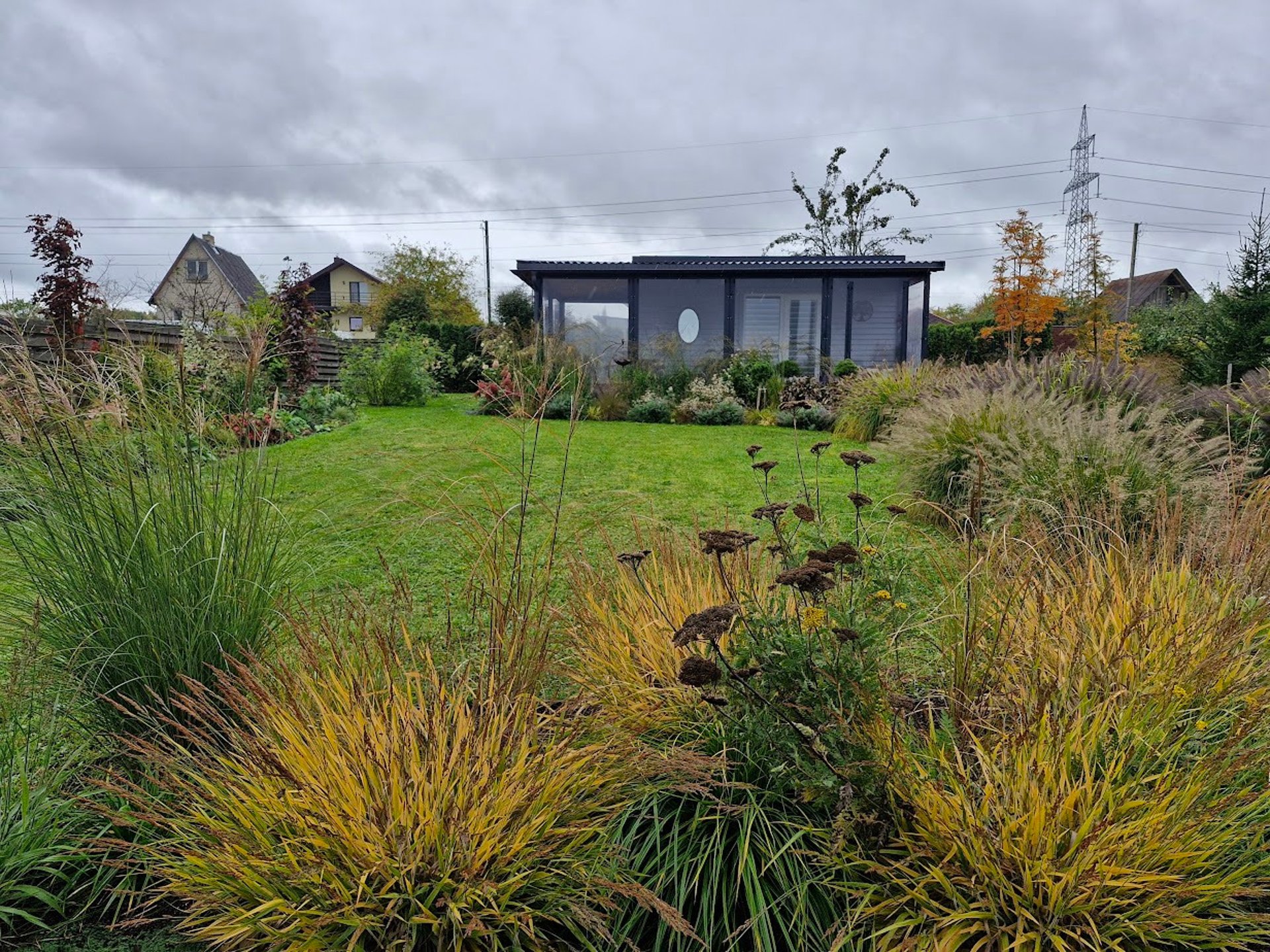 woman holding dried flower
