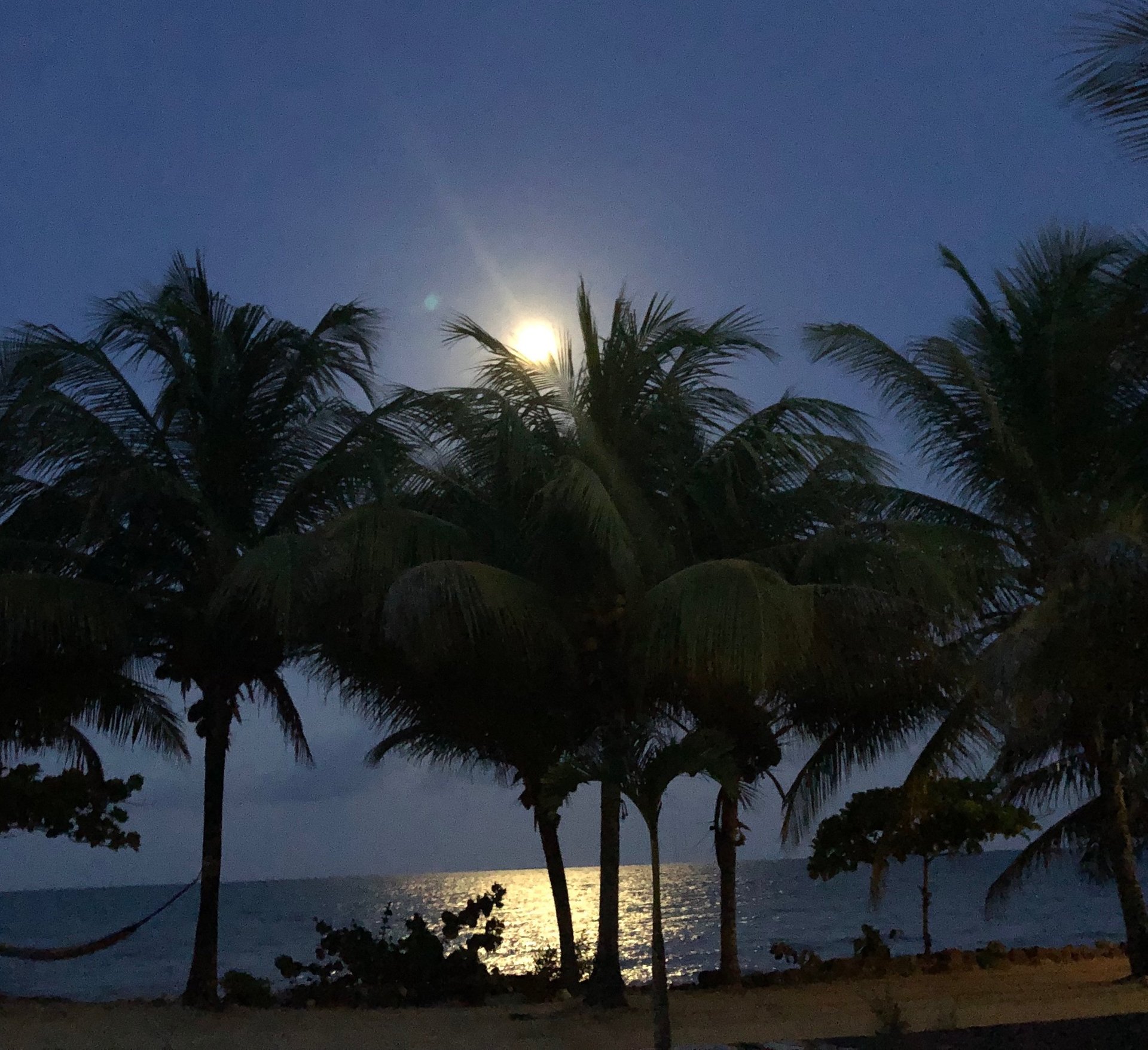 gray computer monitor