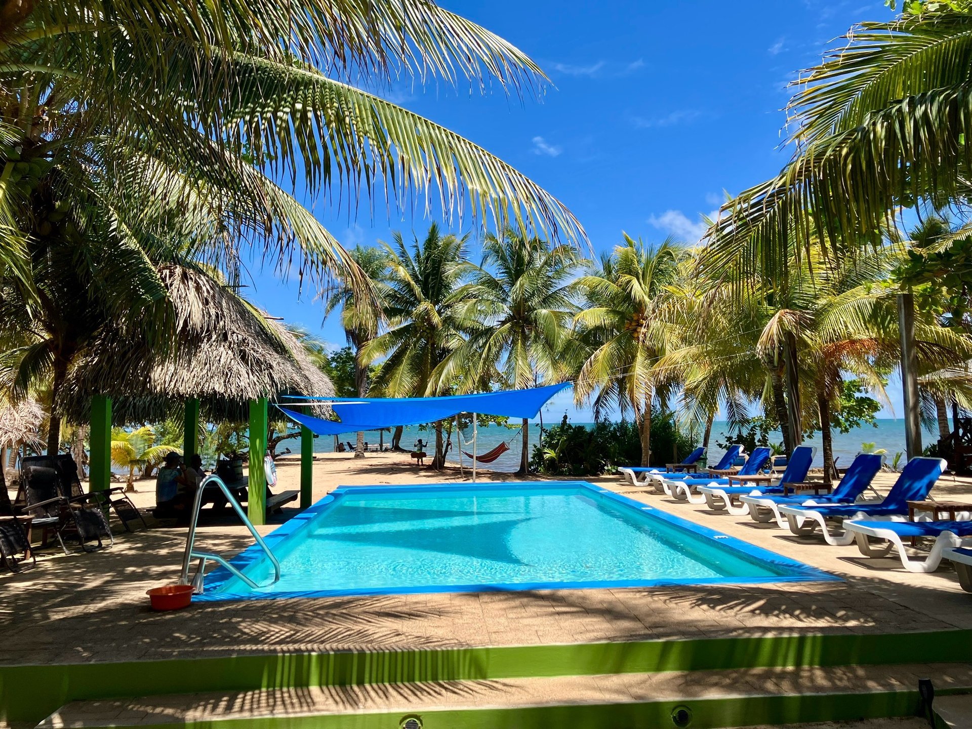 black and white bed linen