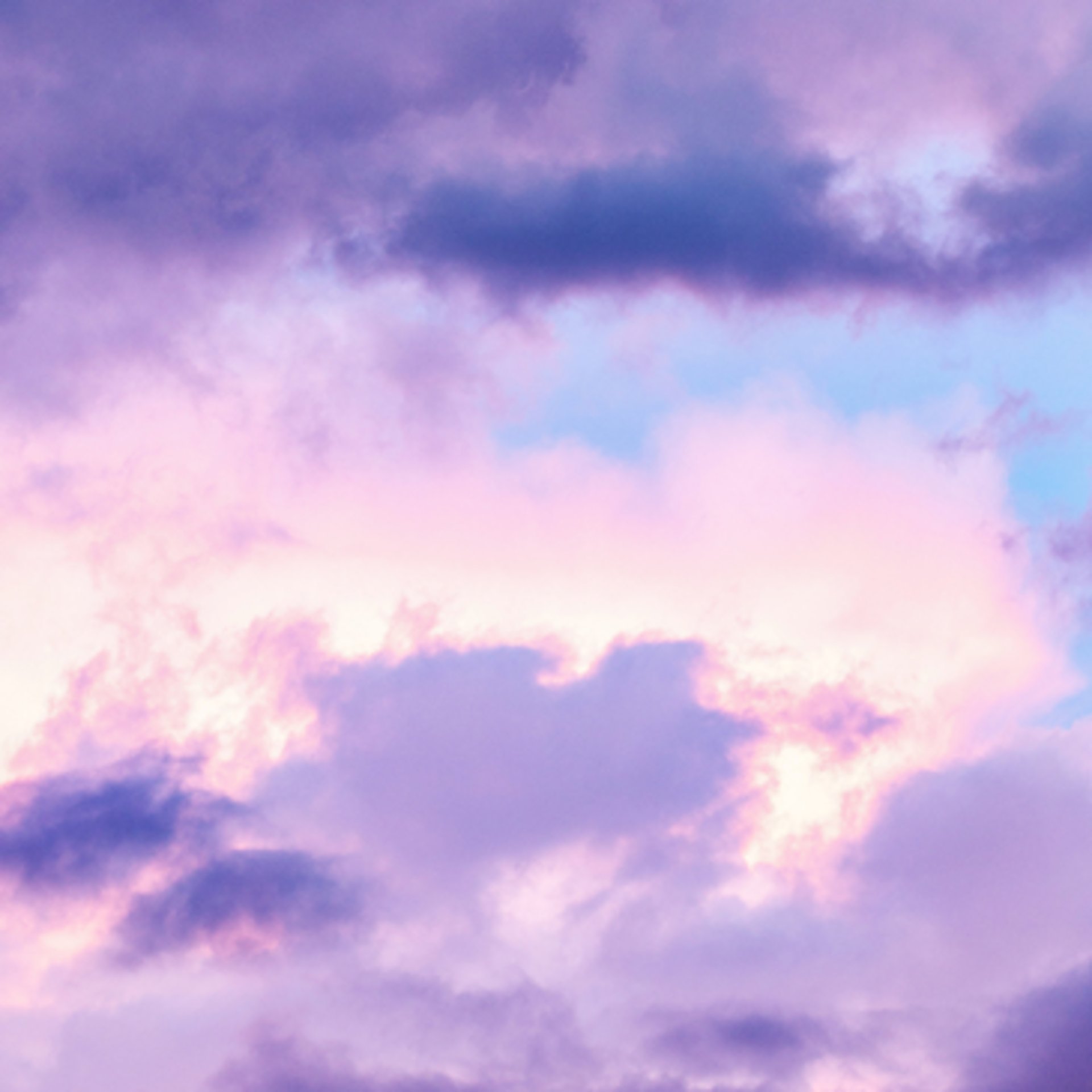 person in blue gloves holding white textile