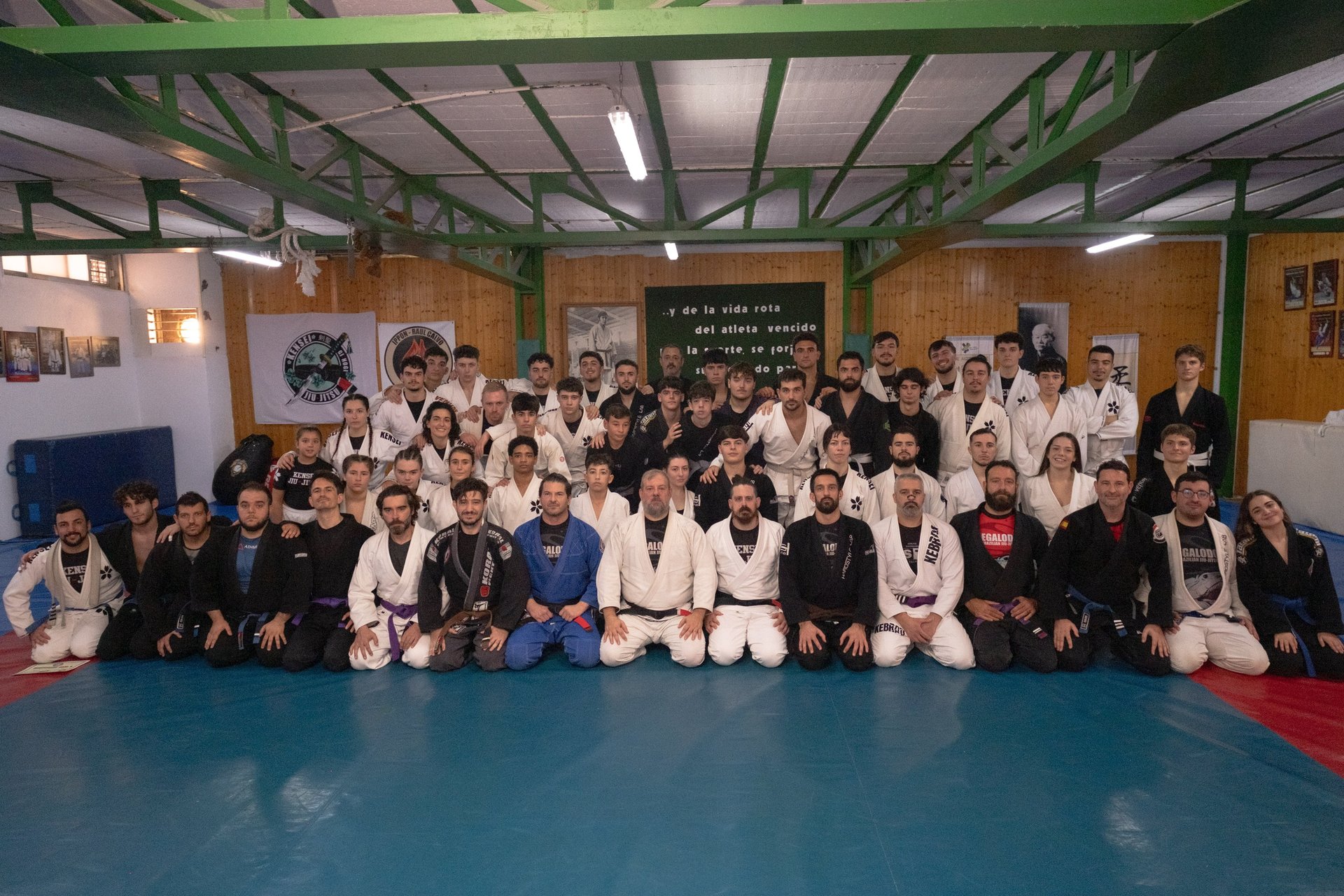 black and brown leather padded tub sofa