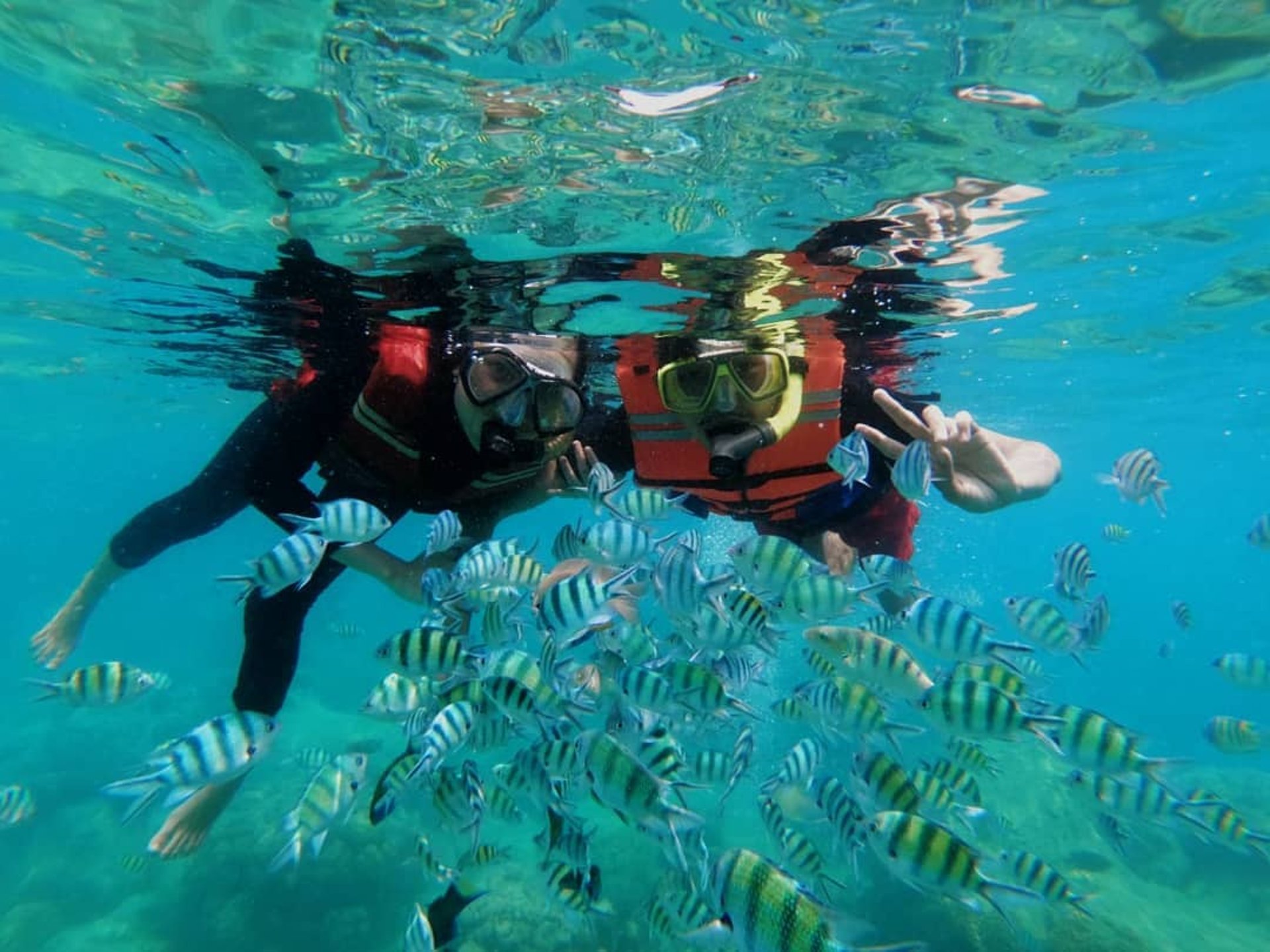 Holiday Pulau Seribu