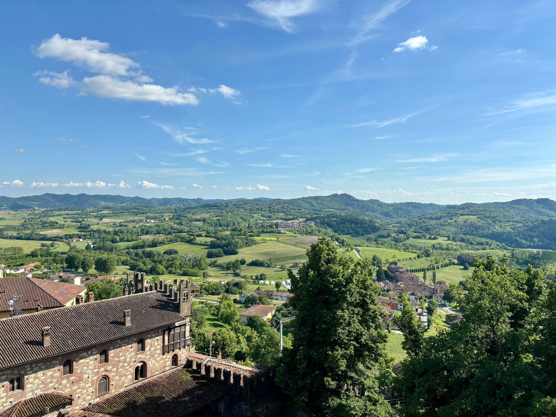 black blue and yellow textile