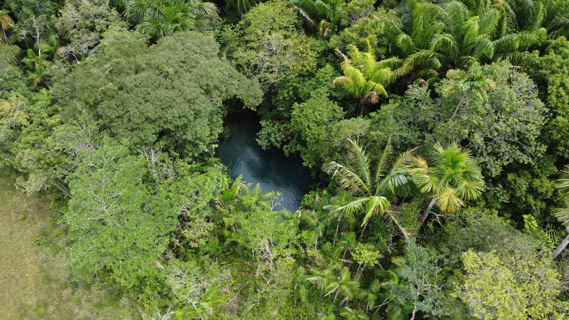 gray computer monitor