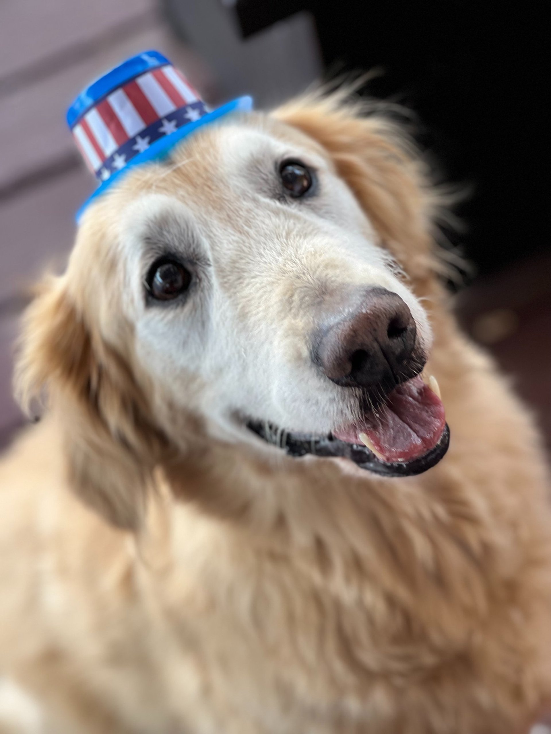 woman wearing yellow long-sleeved dress under white clouds and blue sky during daytime