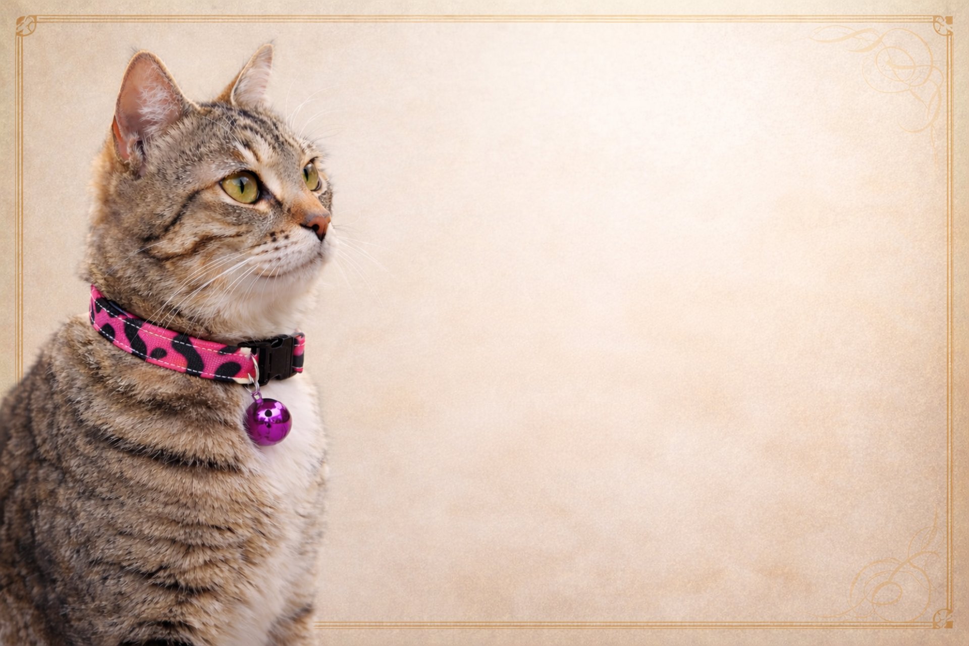 woman holding dried flower