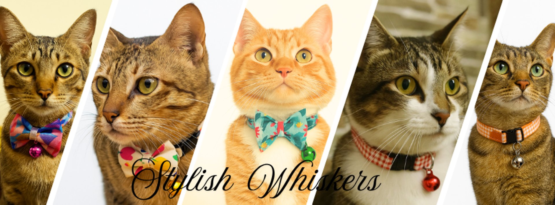 woman holding dried flower