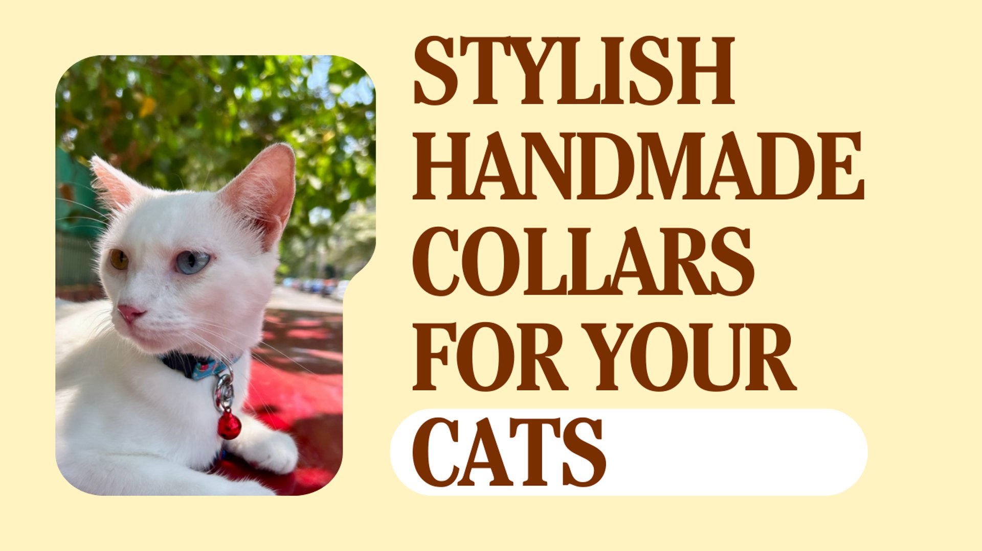 woman holding dried flower