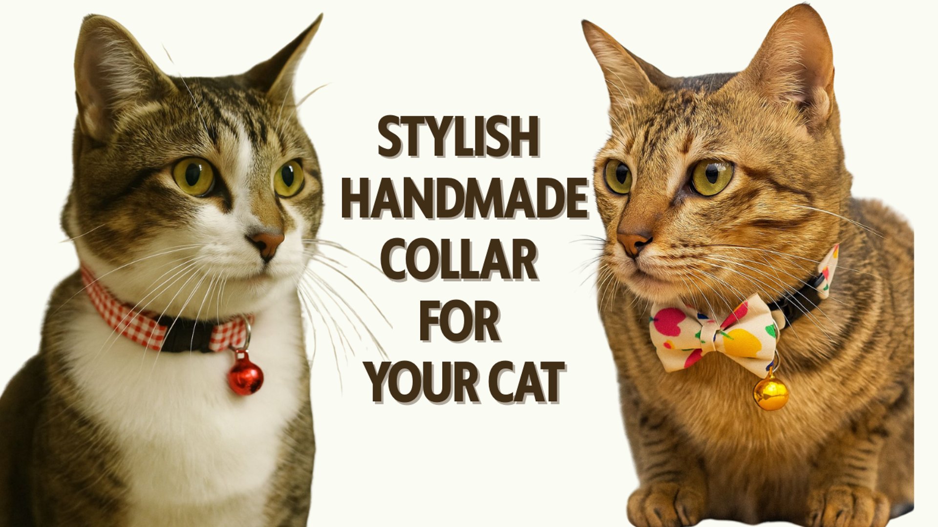 woman holding dried flower