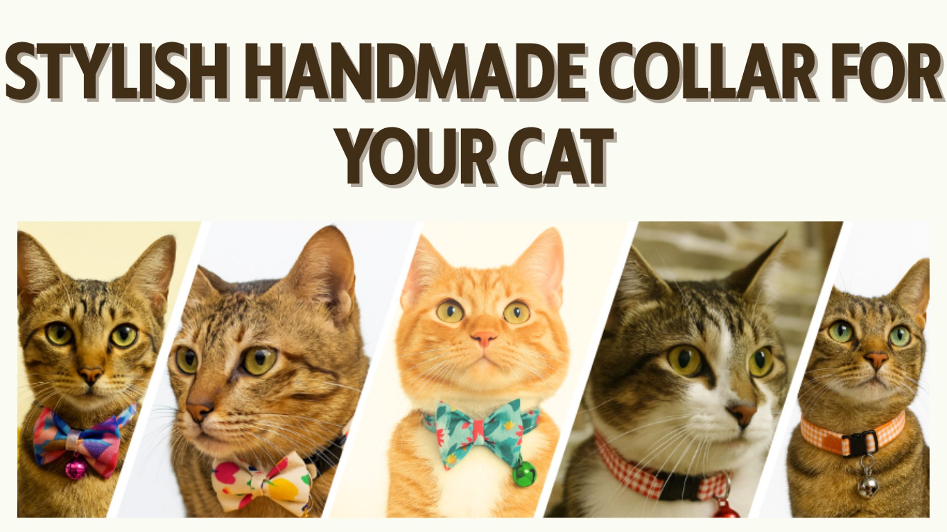 woman holding dried flower