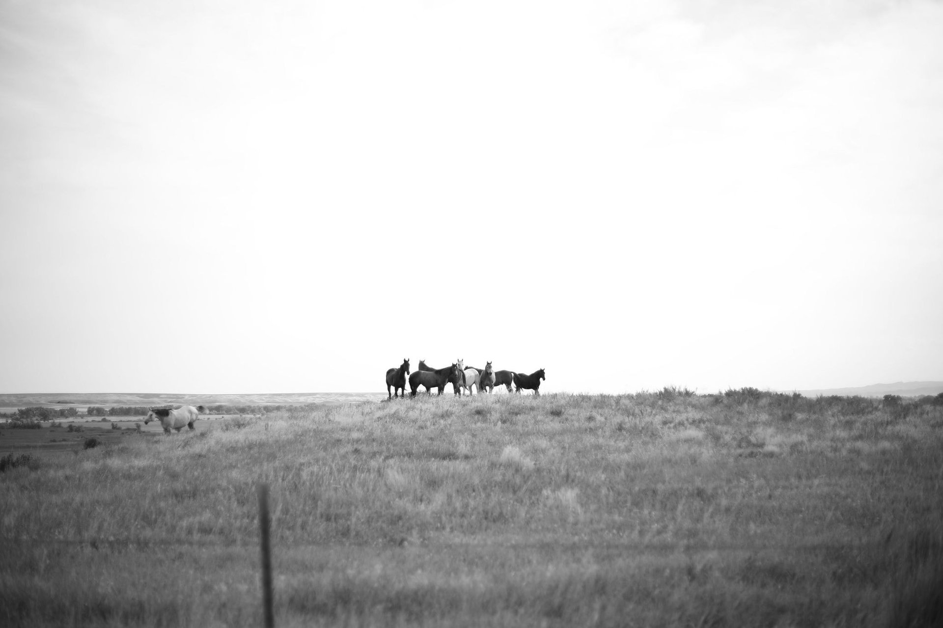 black and white bed linen