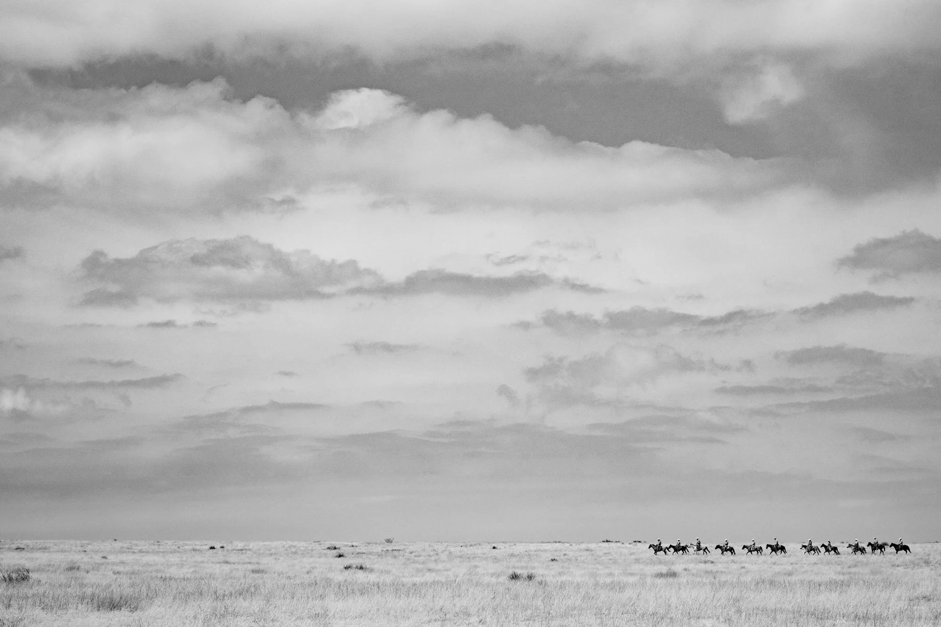 a black and white photo of a horse running in a field