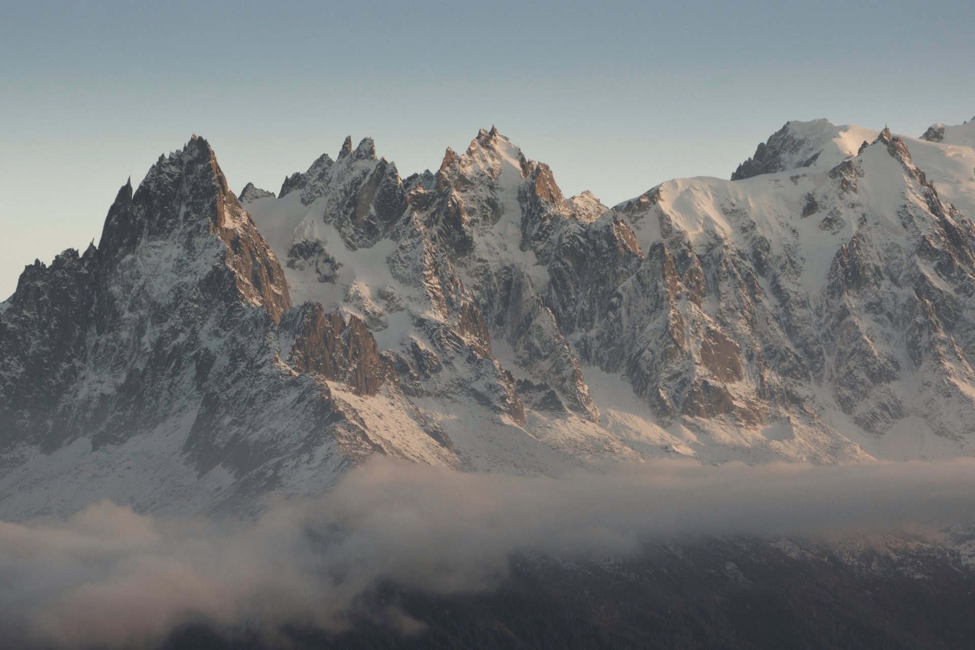 a close up of a black and brown abstract painting