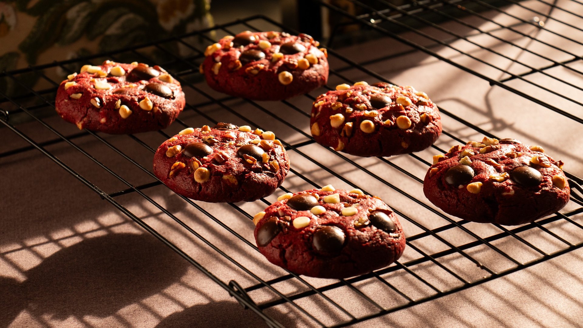 woman holding dried flower