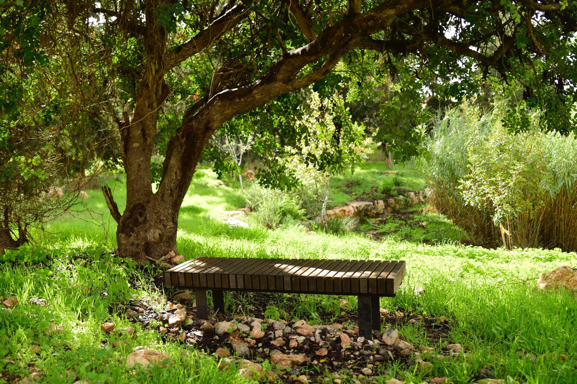 gray computer monitor