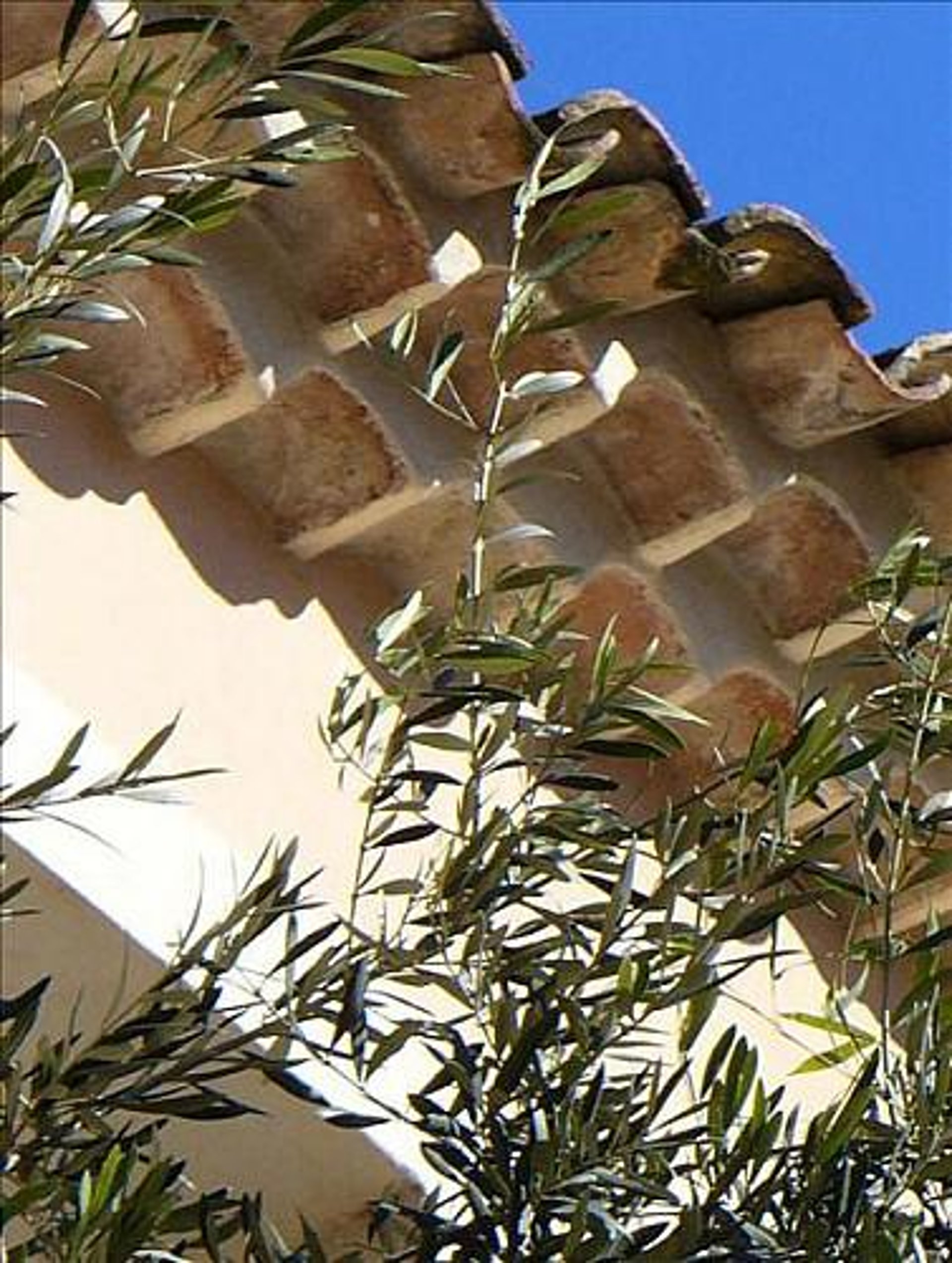 person in blue pants sitting on brown wooden floor