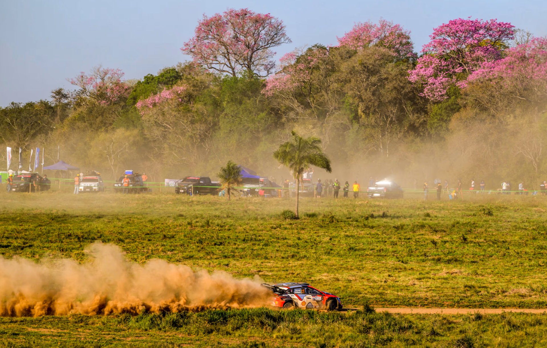 an abstract photo of a curved building with a blue sky in the background
