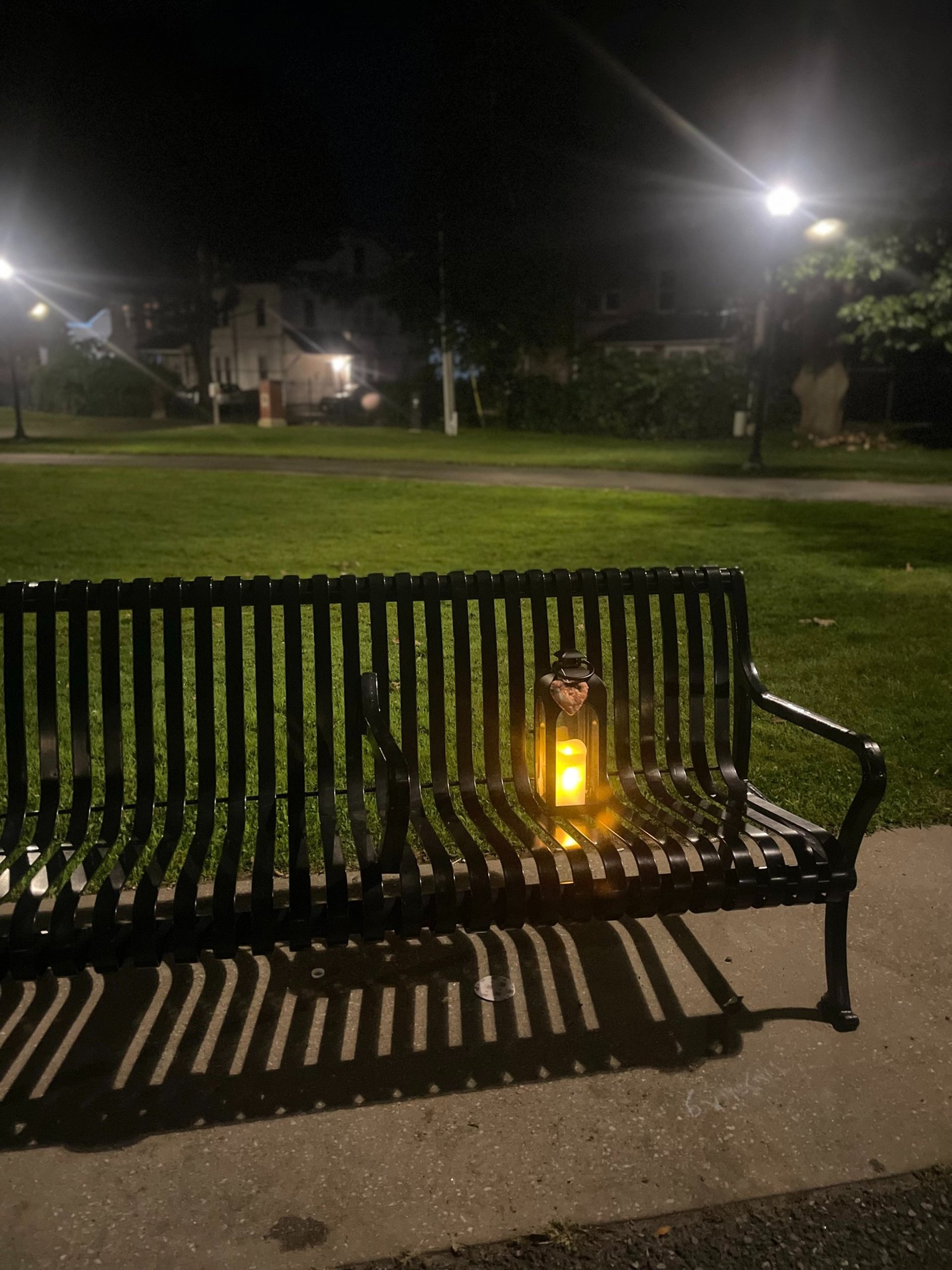 water falls in the forest