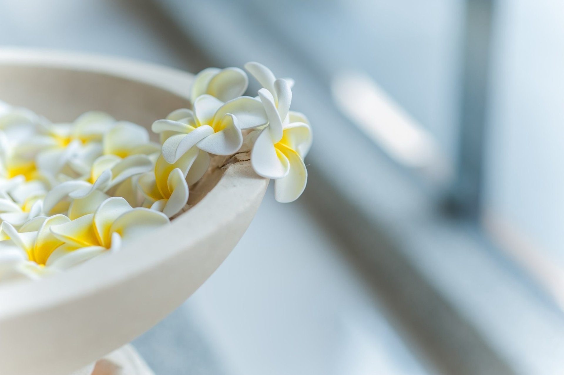 an abstract photo of a curved building with a blue sky in the background