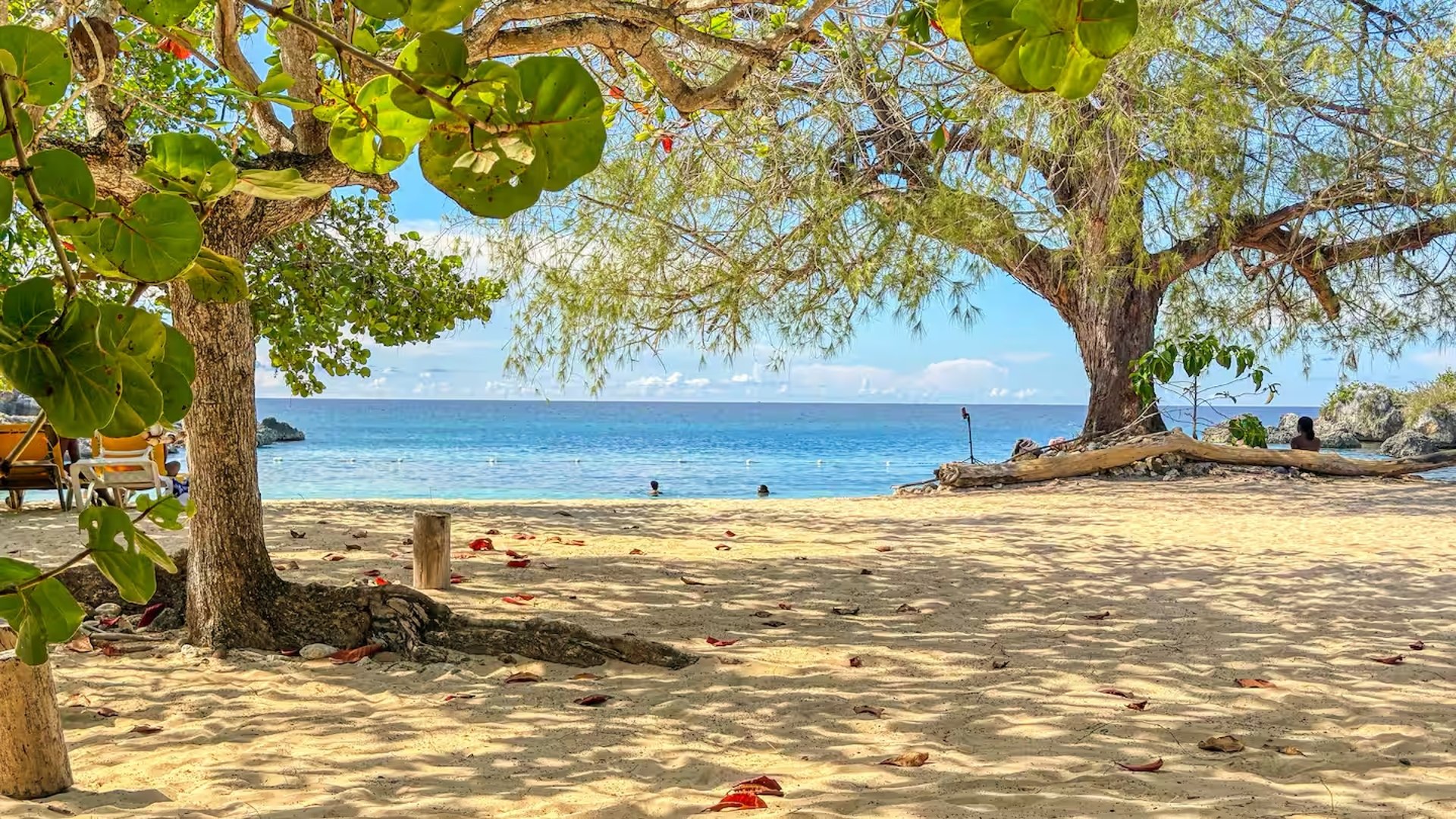 black and white bed linen