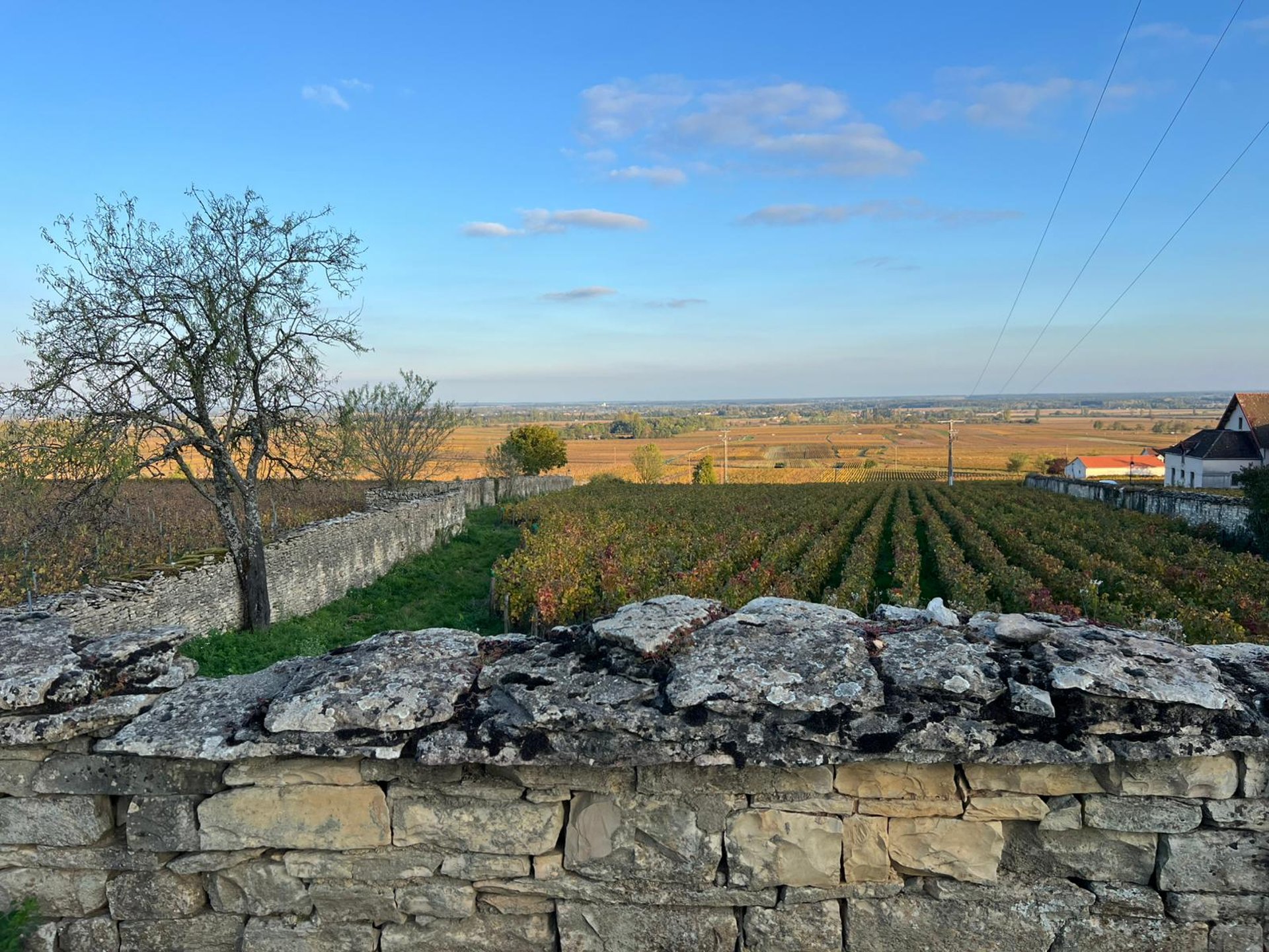an abstract photo of a curved building with a blue sky in the background