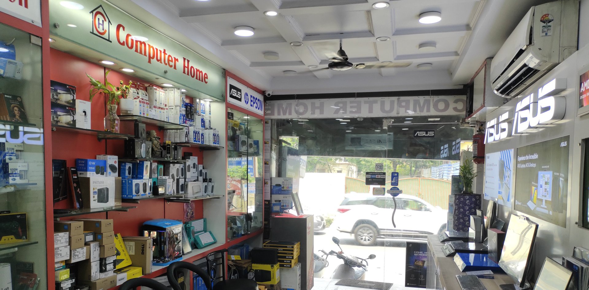 woman holding dried flower
