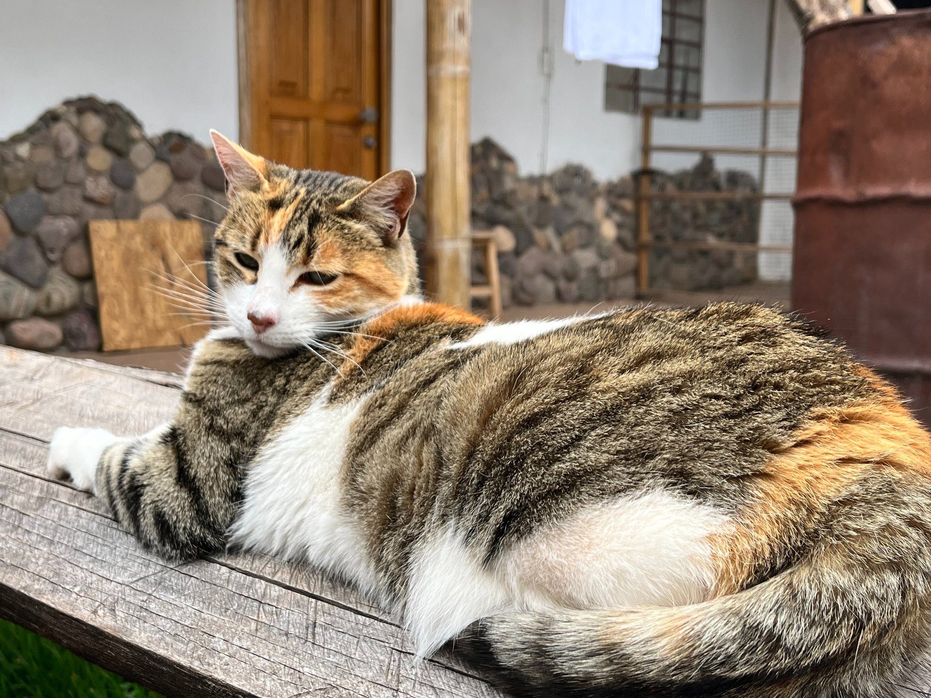 black and white bed linen