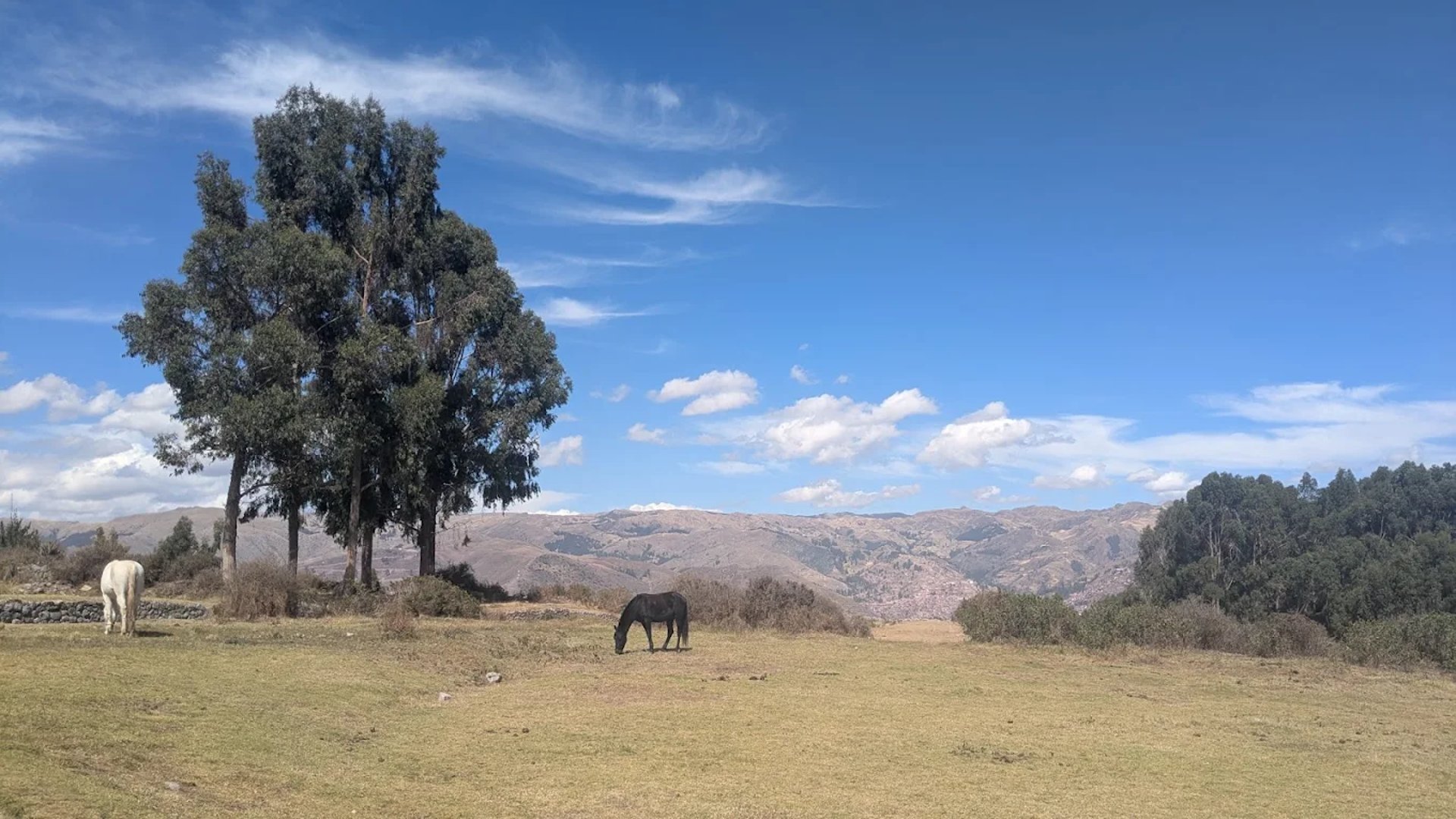 gray computer monitor