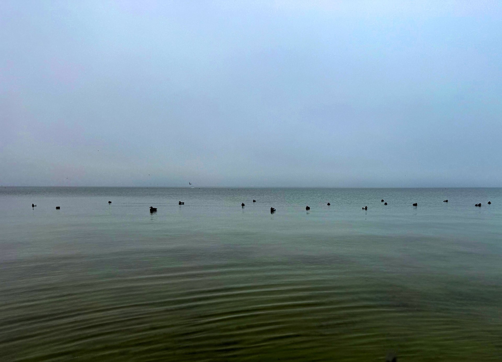 woman wearing yellow long-sleeved dress under white clouds and blue sky during daytime