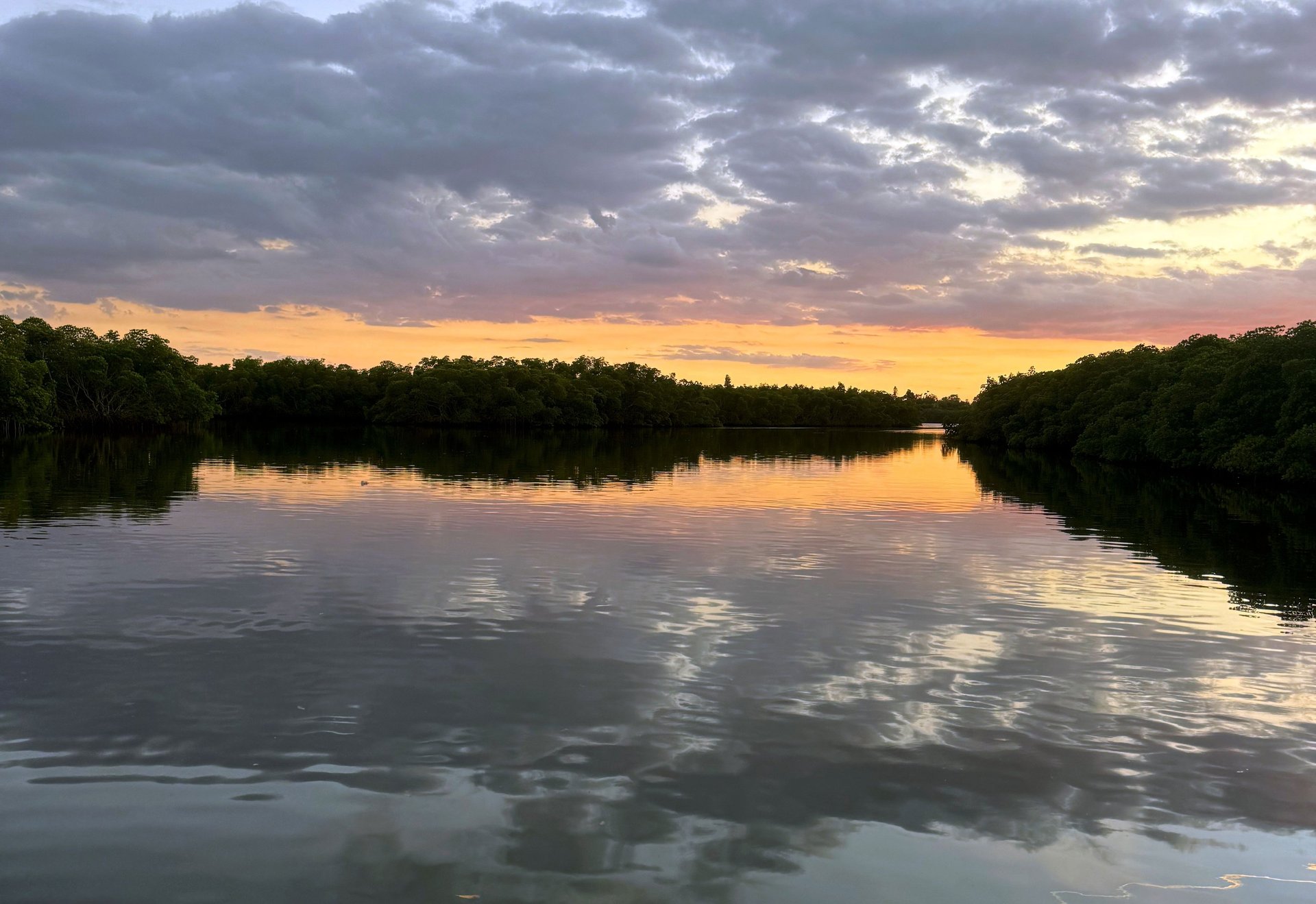 a duck swimming in water