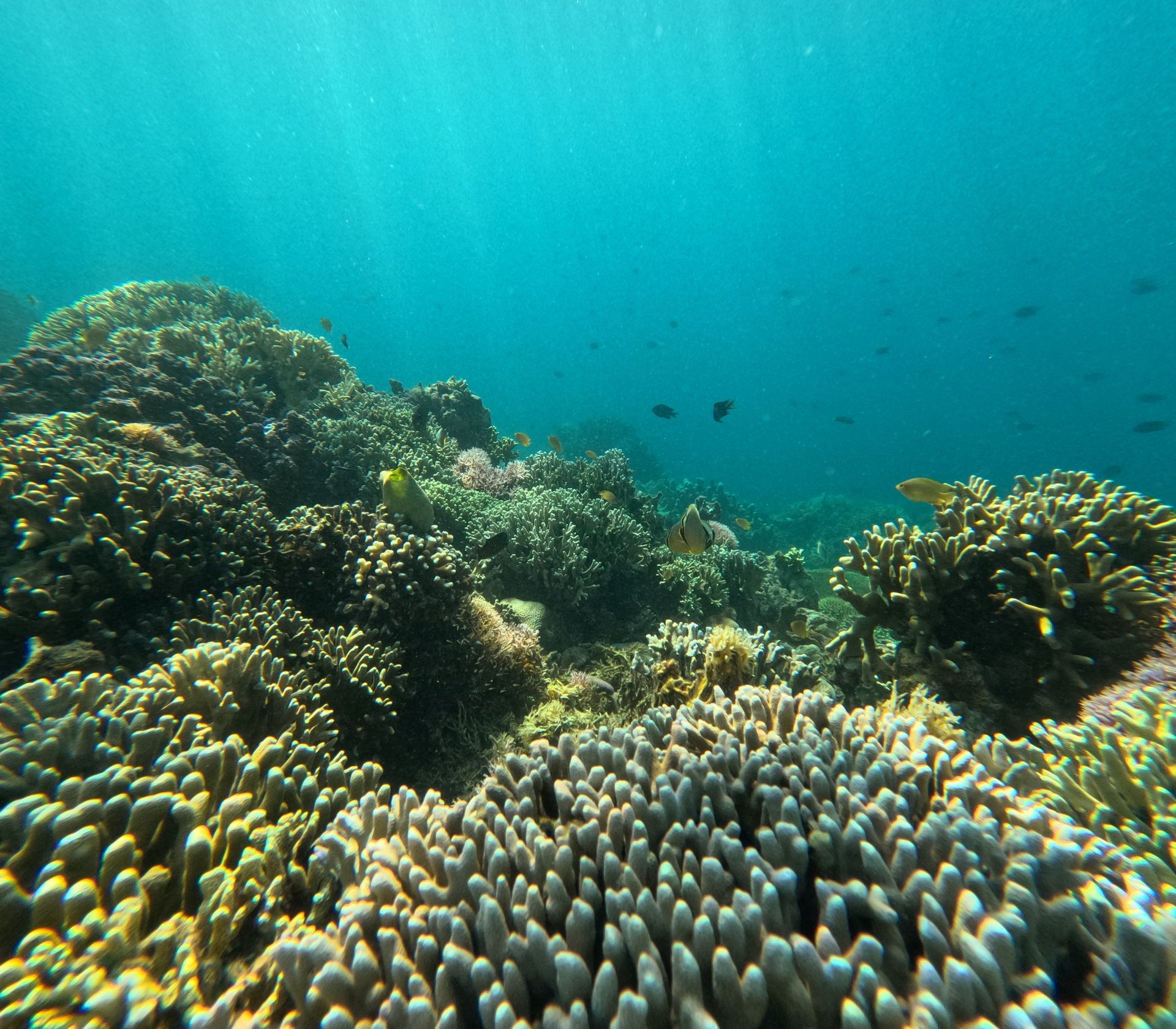 an abstract photo of a curved building with a blue sky in the background