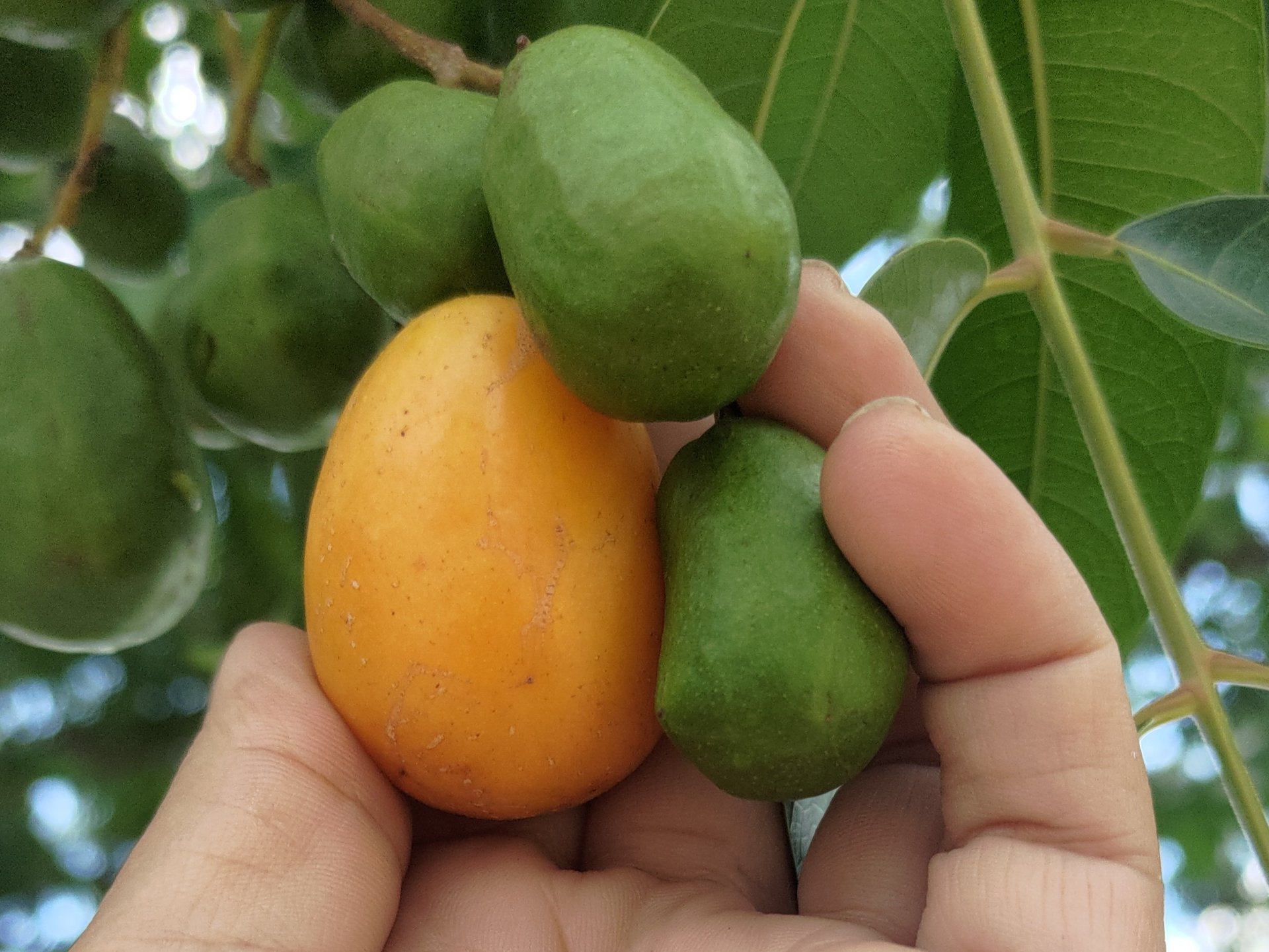 gray computer monitor