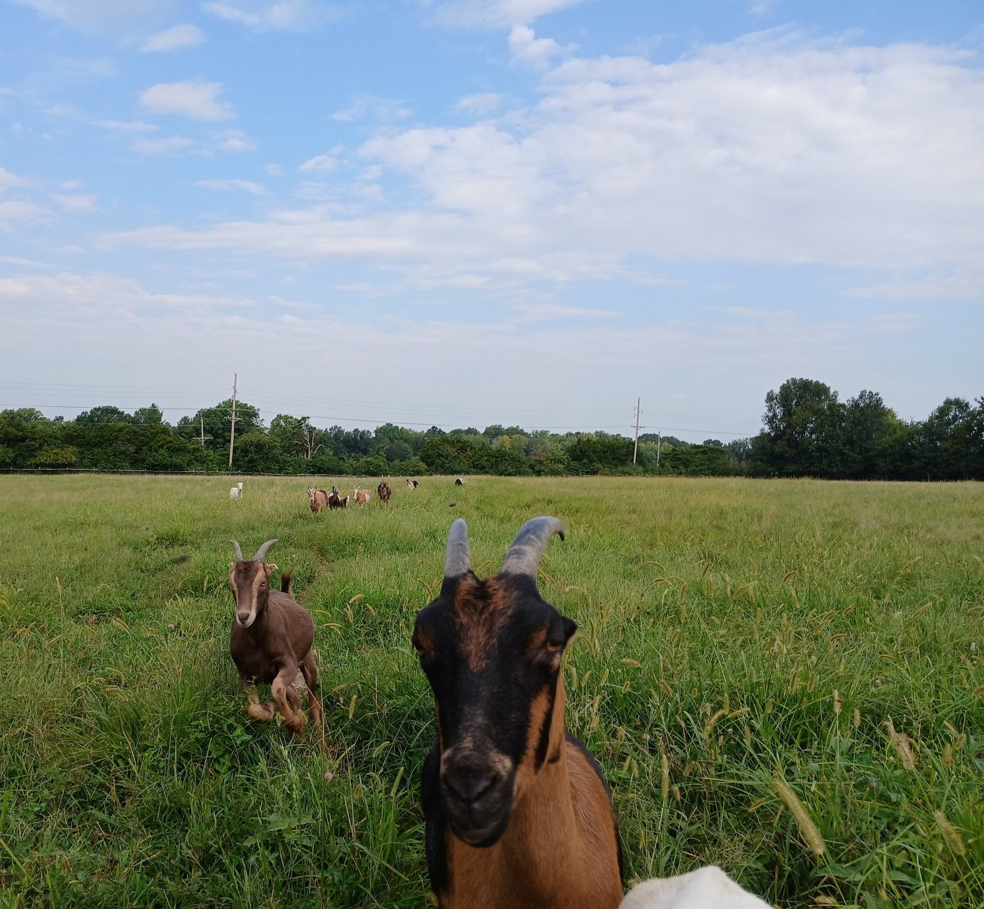 woman wearing yellow long-sleeved dress under white clouds and blue sky during daytime