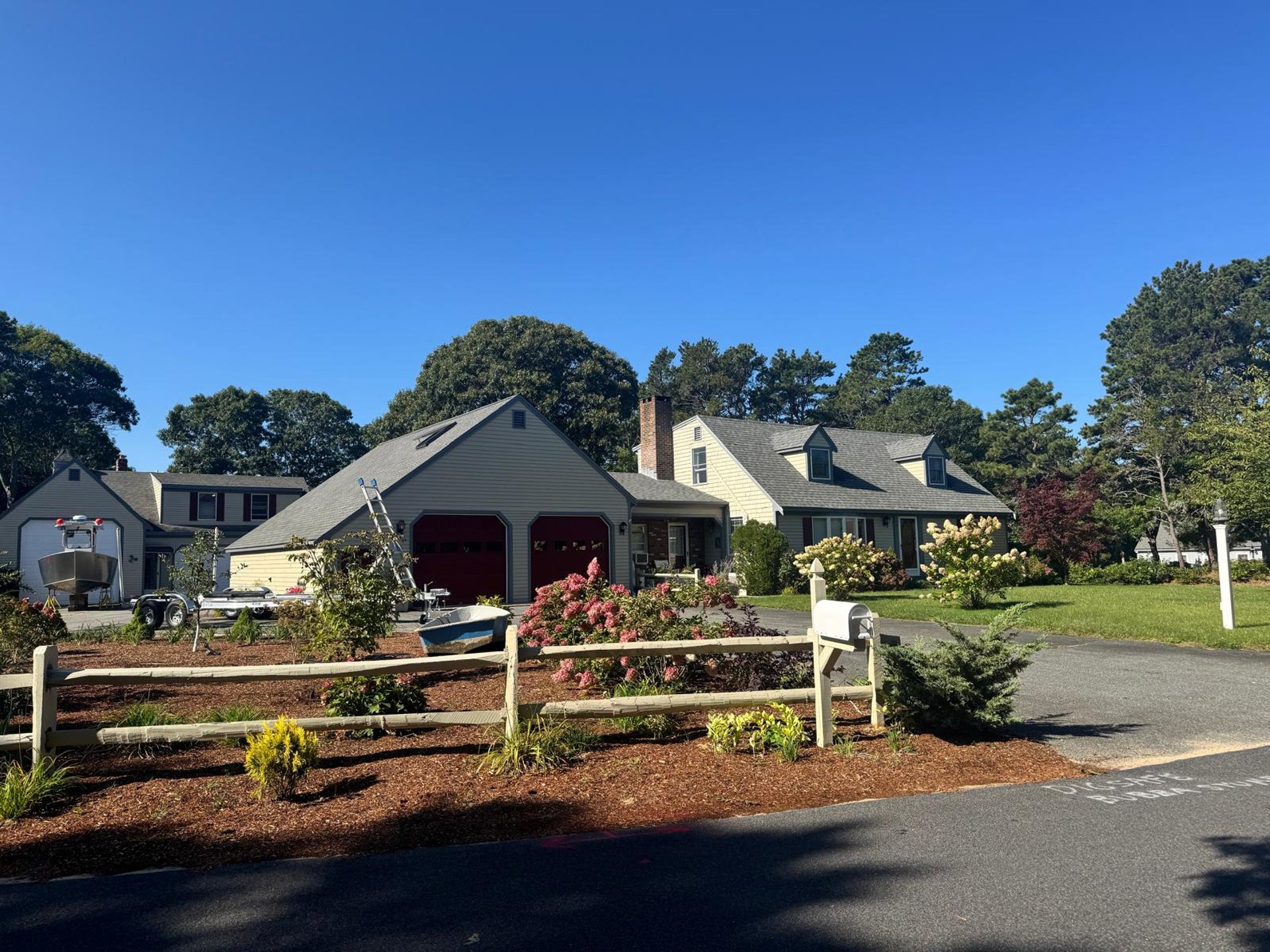 living room set with green dumb cane plant