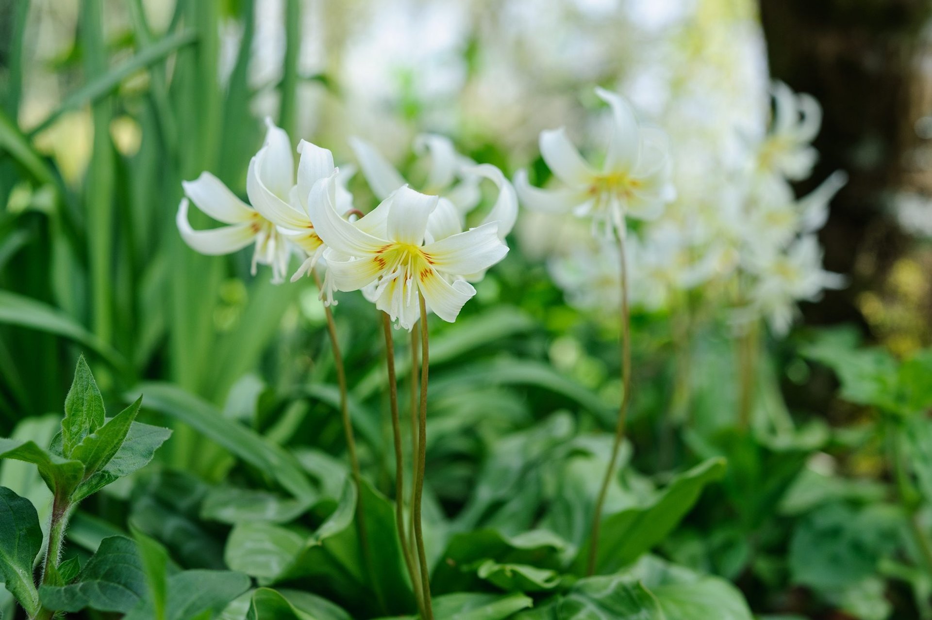 black blue and yellow textile