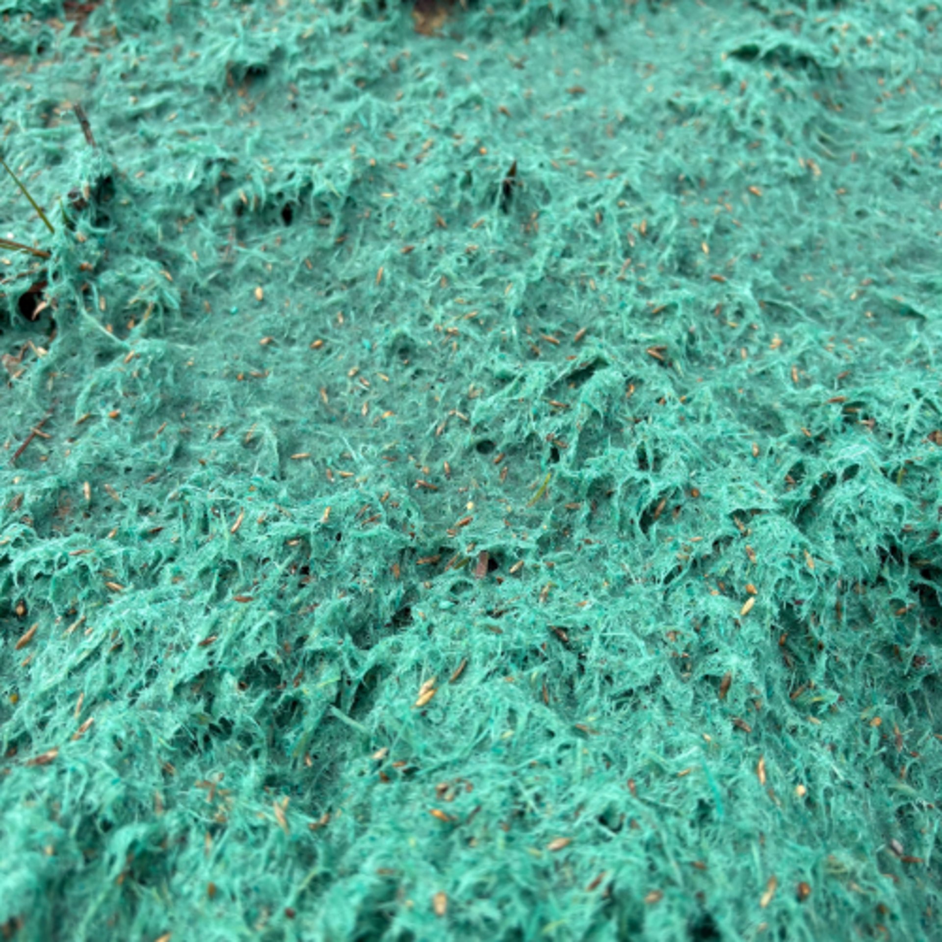 black and brown leather padded tub sofa