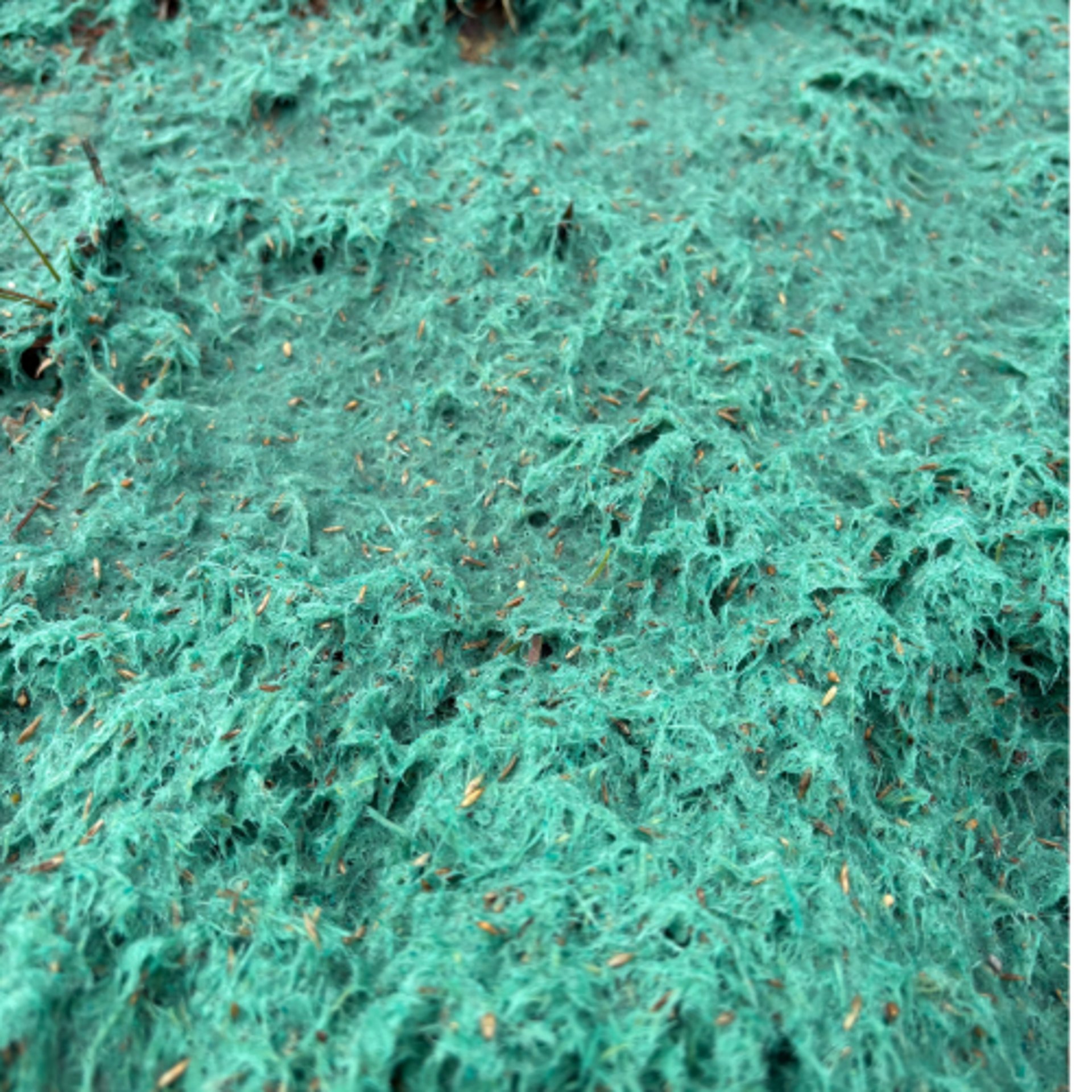 black and brown leather padded tub sofa