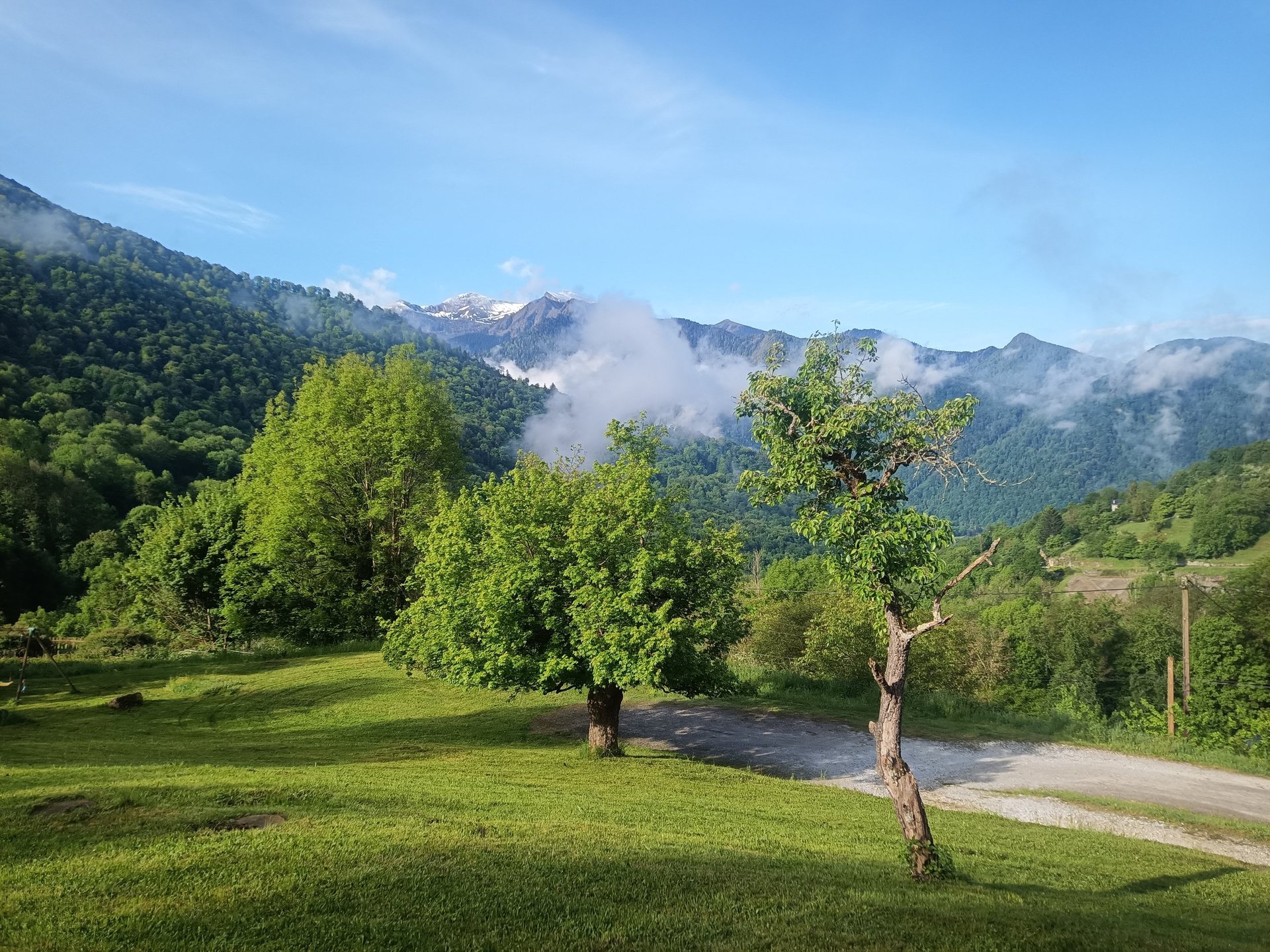 black and white bed linen