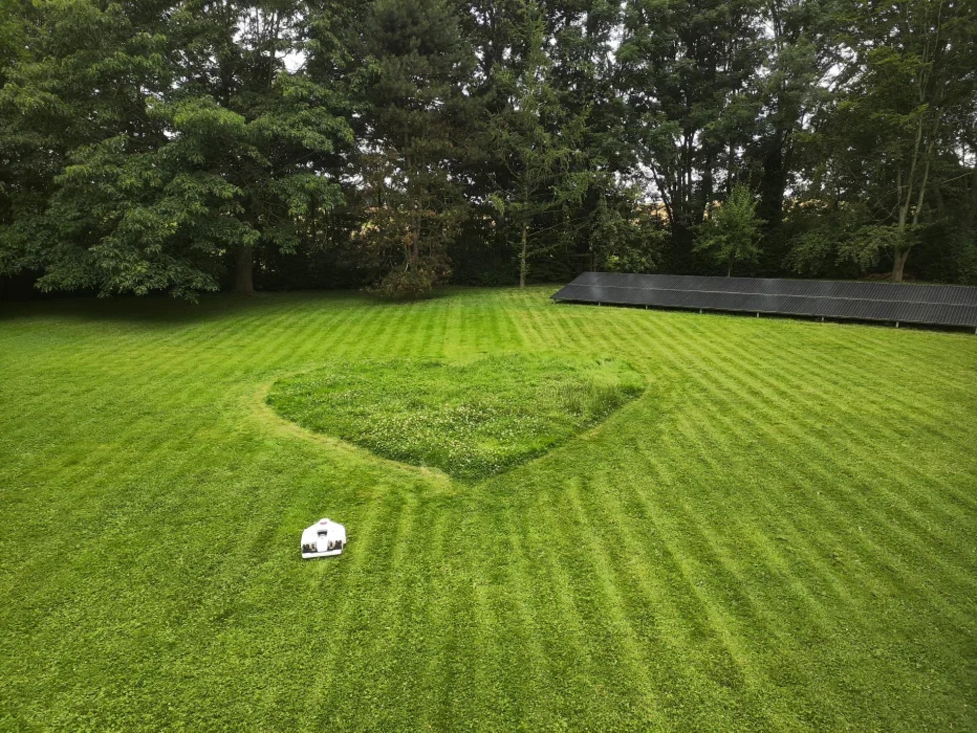 an abstract photo of a curved building with a blue sky in the background