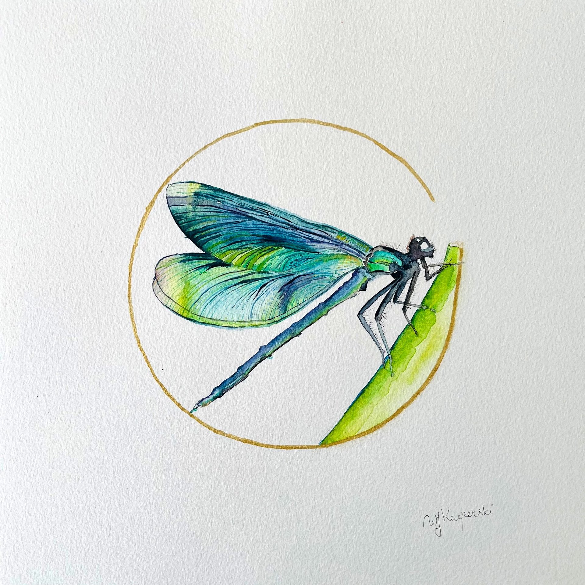 green-dragonfly-watercolor-weronika-kacperski