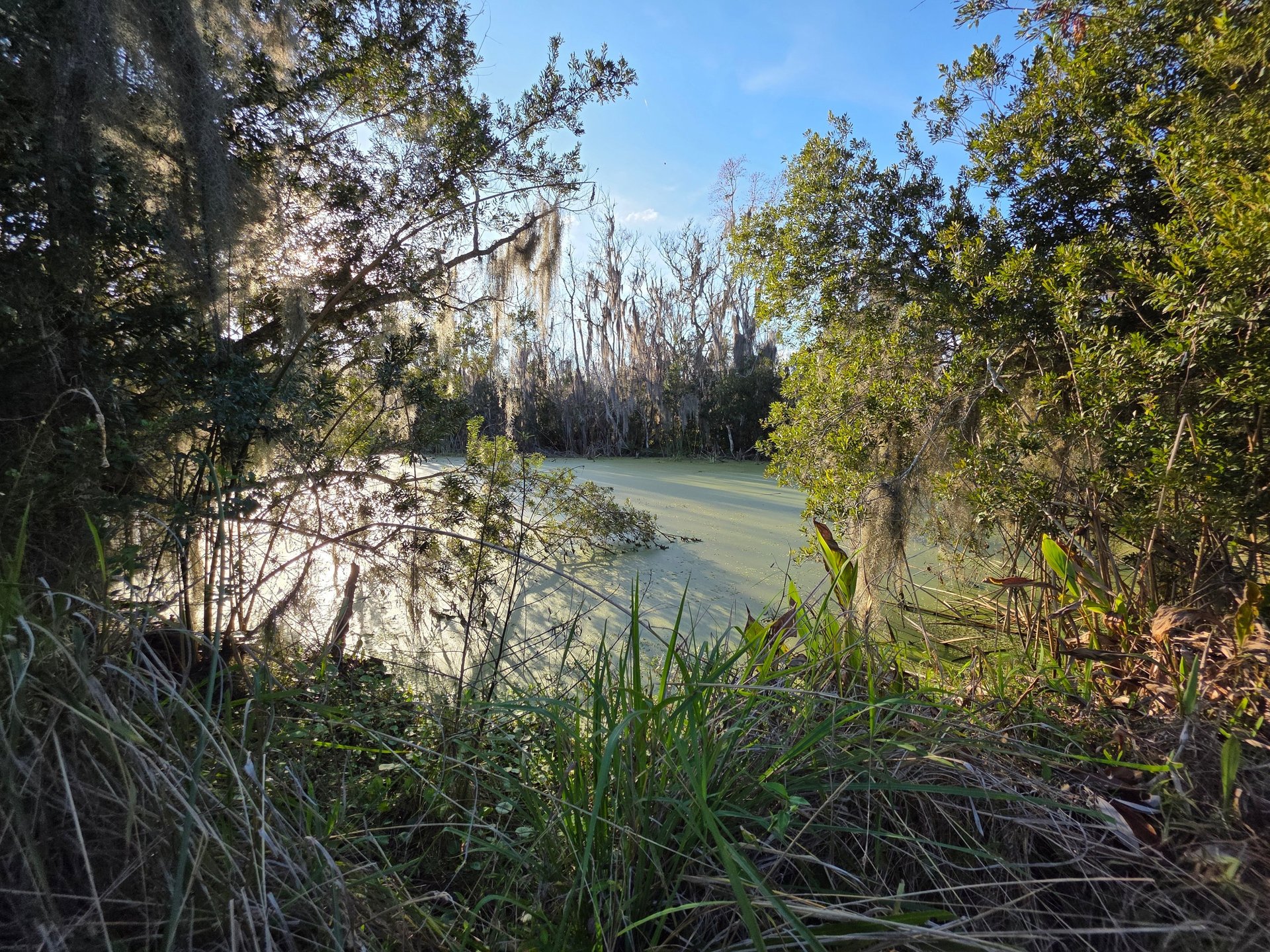 black and brown leather padded tub sofa