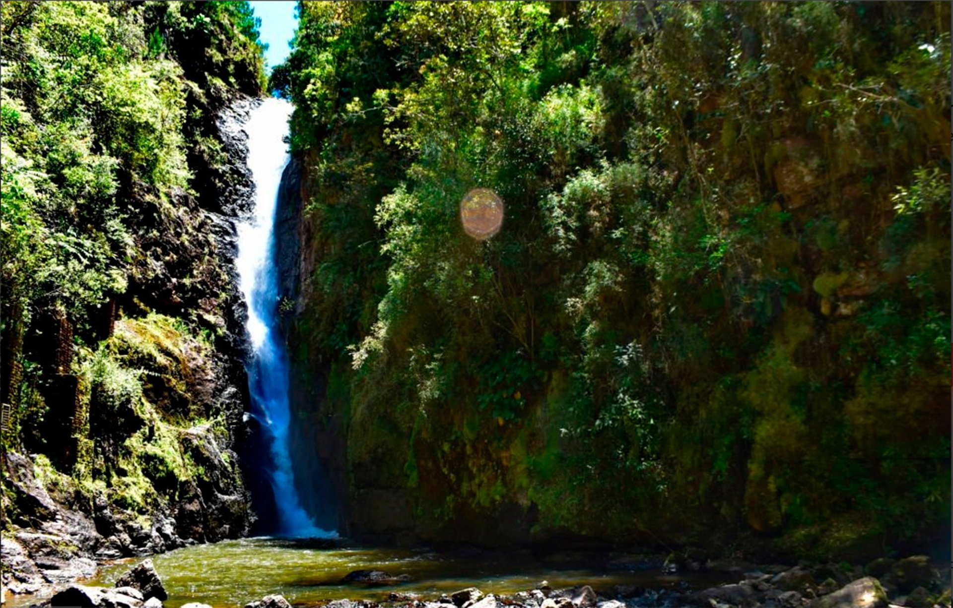 gray computer monitor