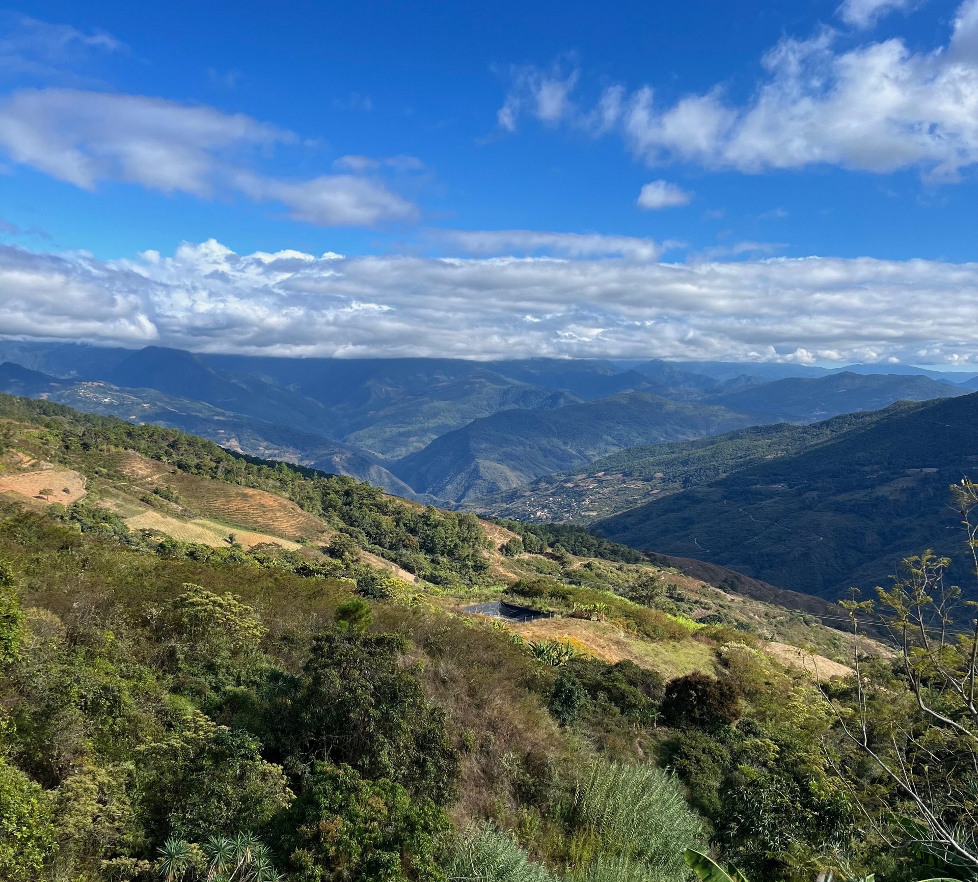 white ceramic mug with coffee