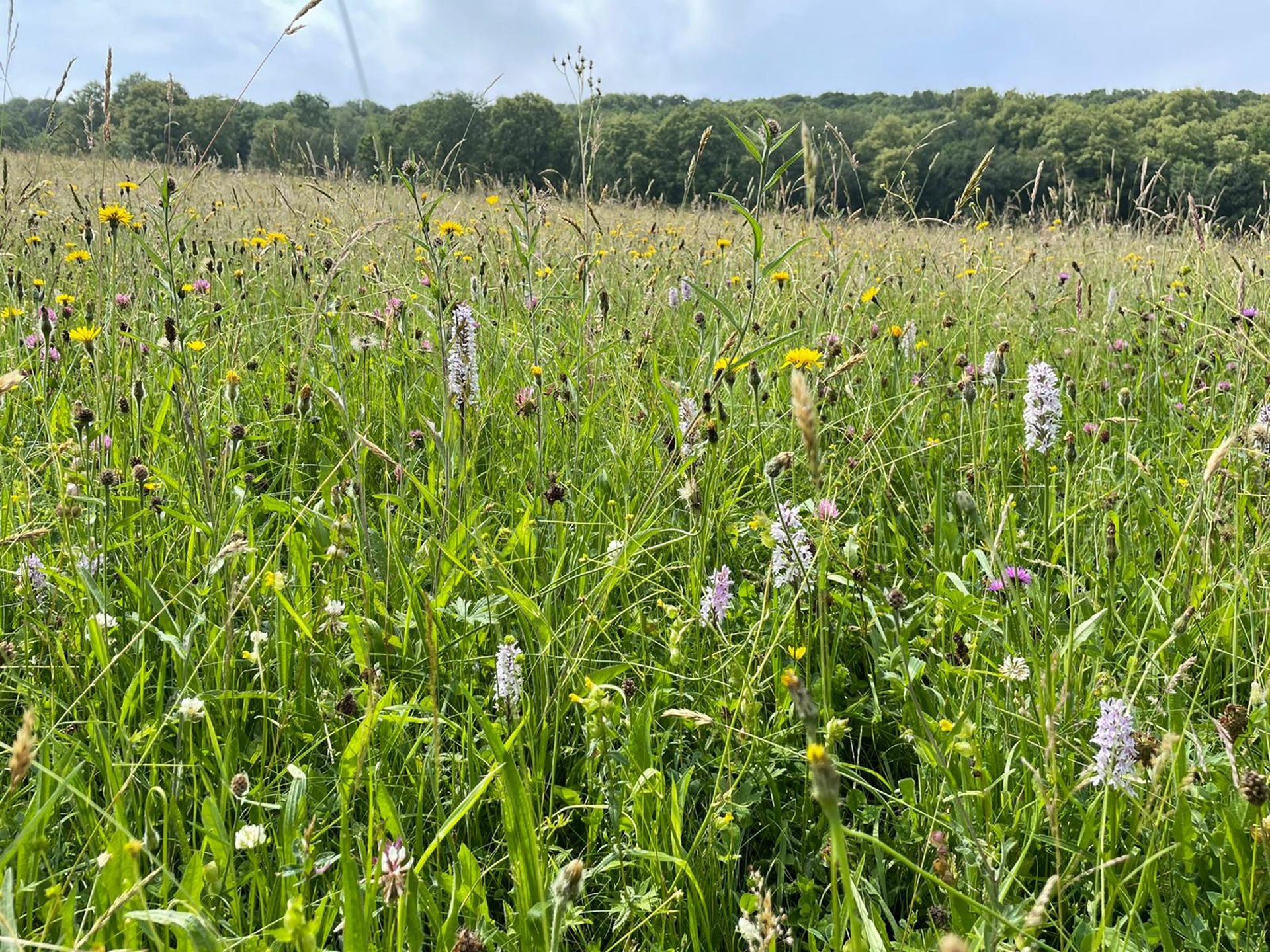 gray computer monitor