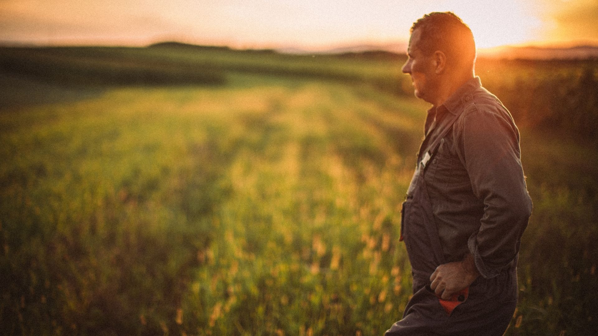 an abstract photo of a curved building with a blue sky in the background