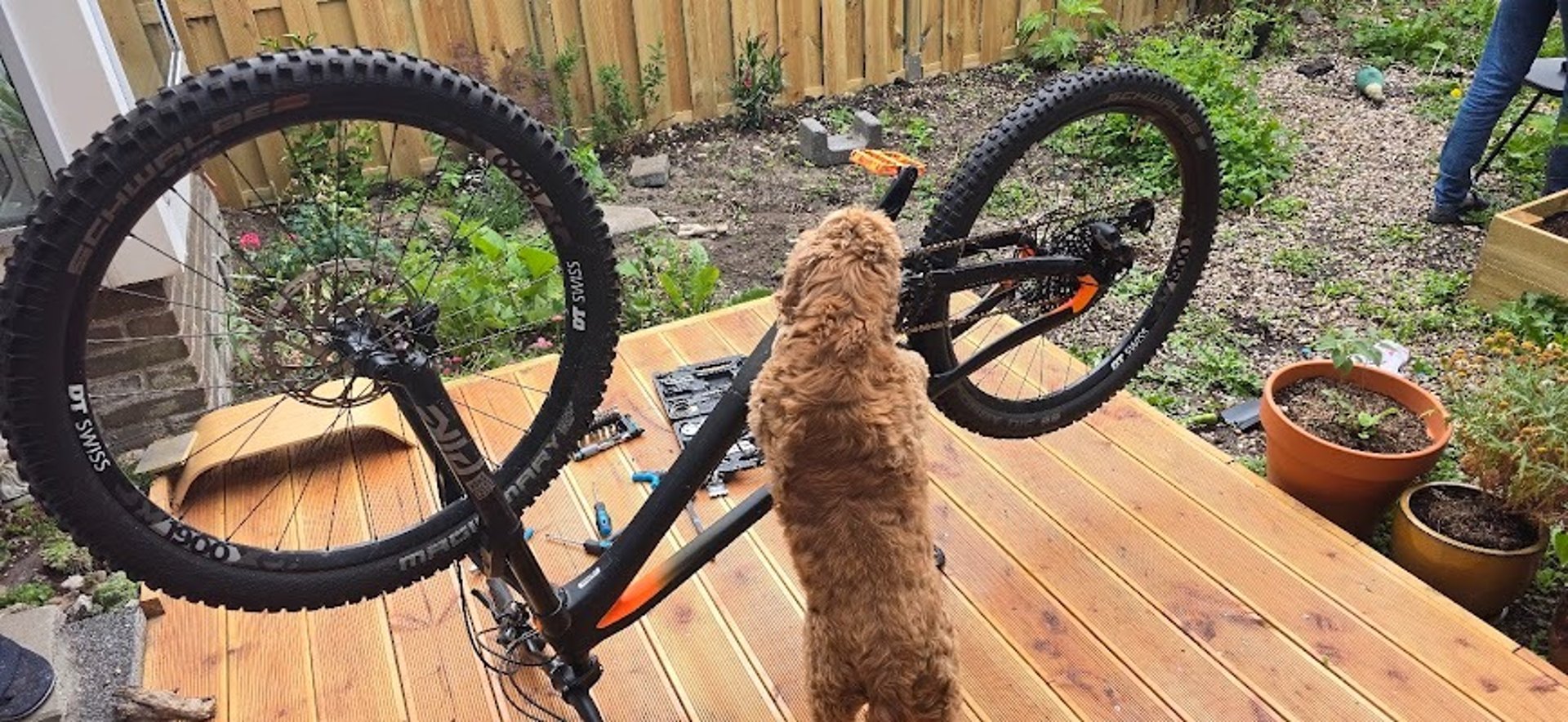 woman wearing yellow long-sleeved dress under white clouds and blue sky during daytime